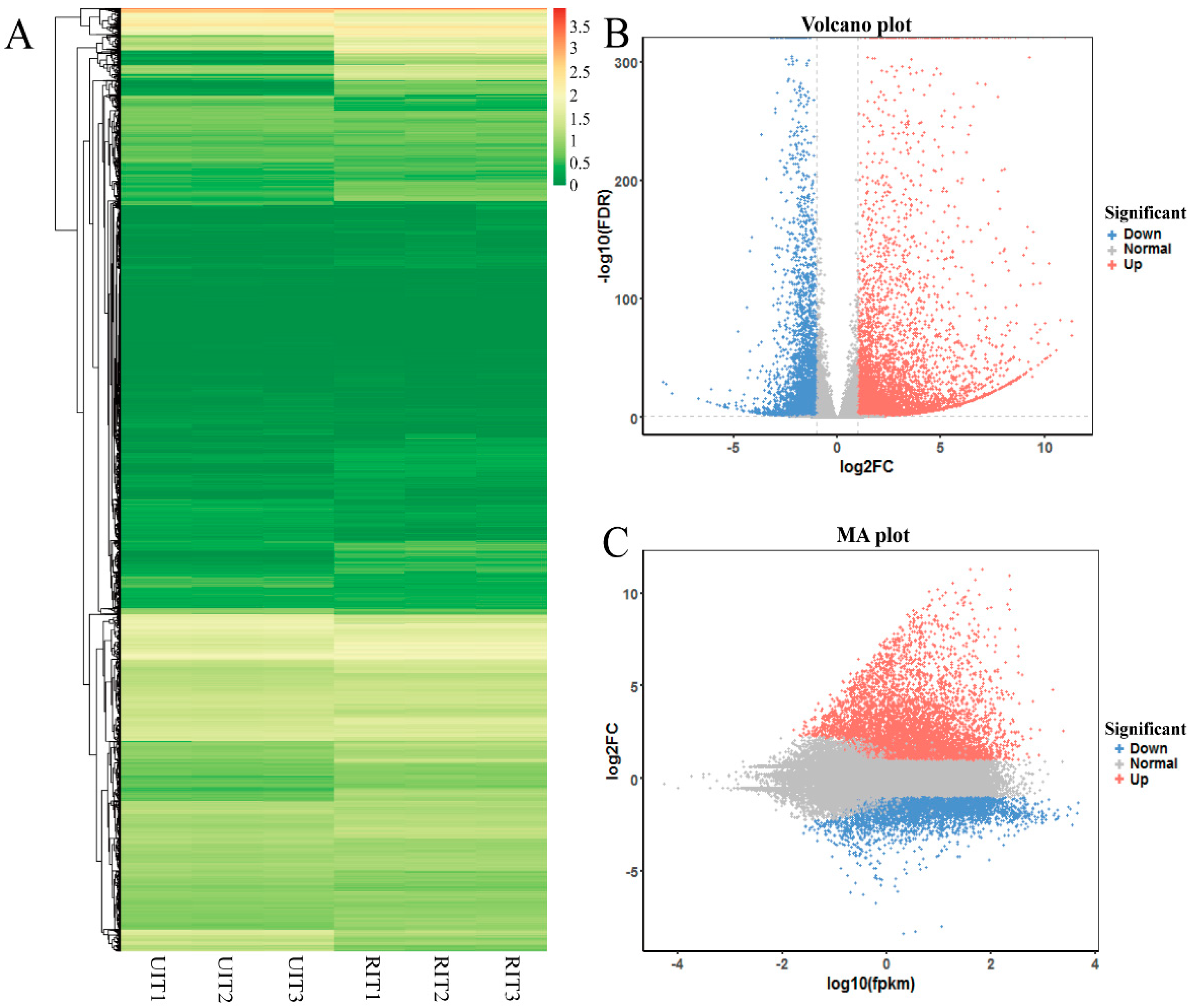 Forests 10 00665 g003 Forests 10 00665 g003