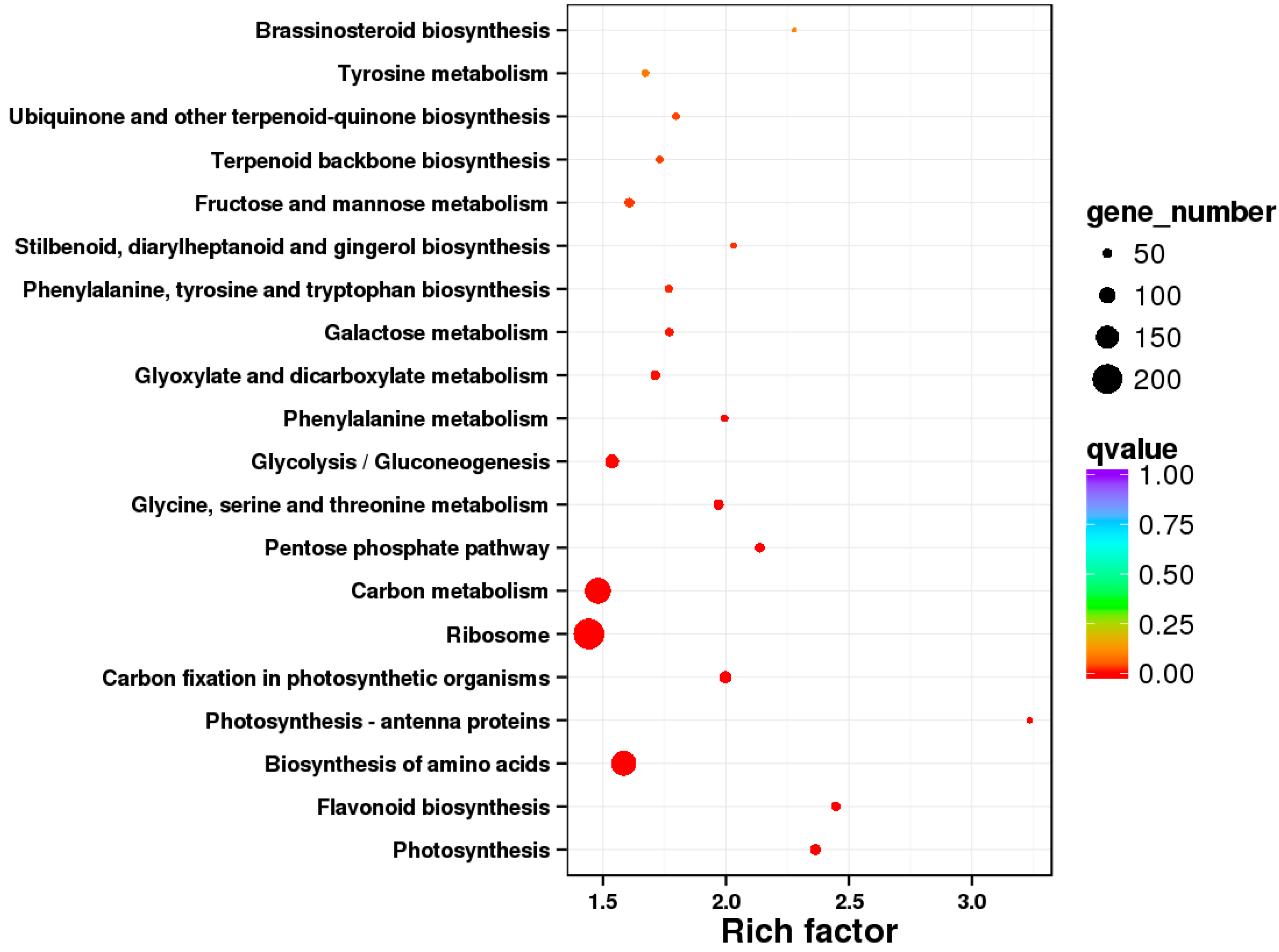 Forests 10 00665 g005 Forests 10 00665 g005