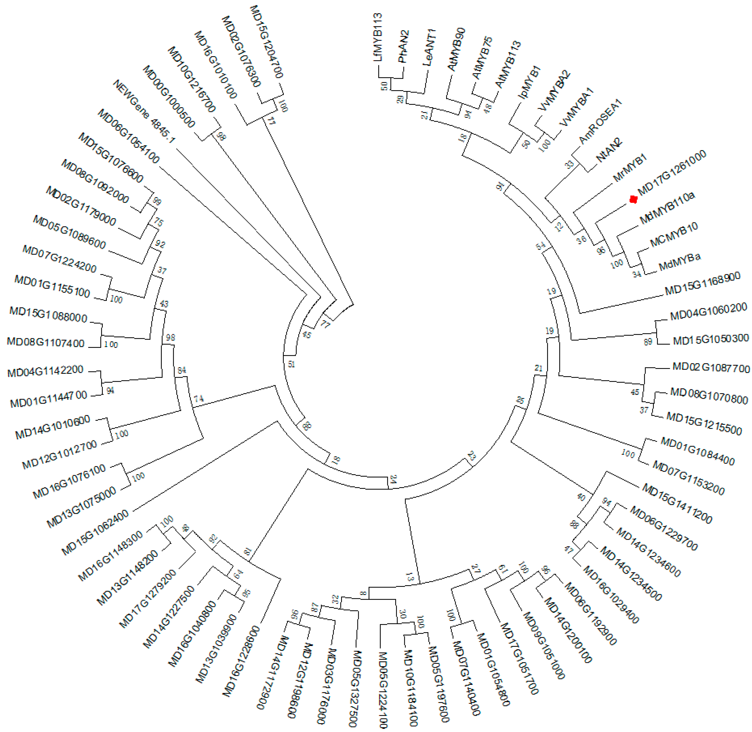 Forests 10 00665 g006 Forests 10 00665 g006