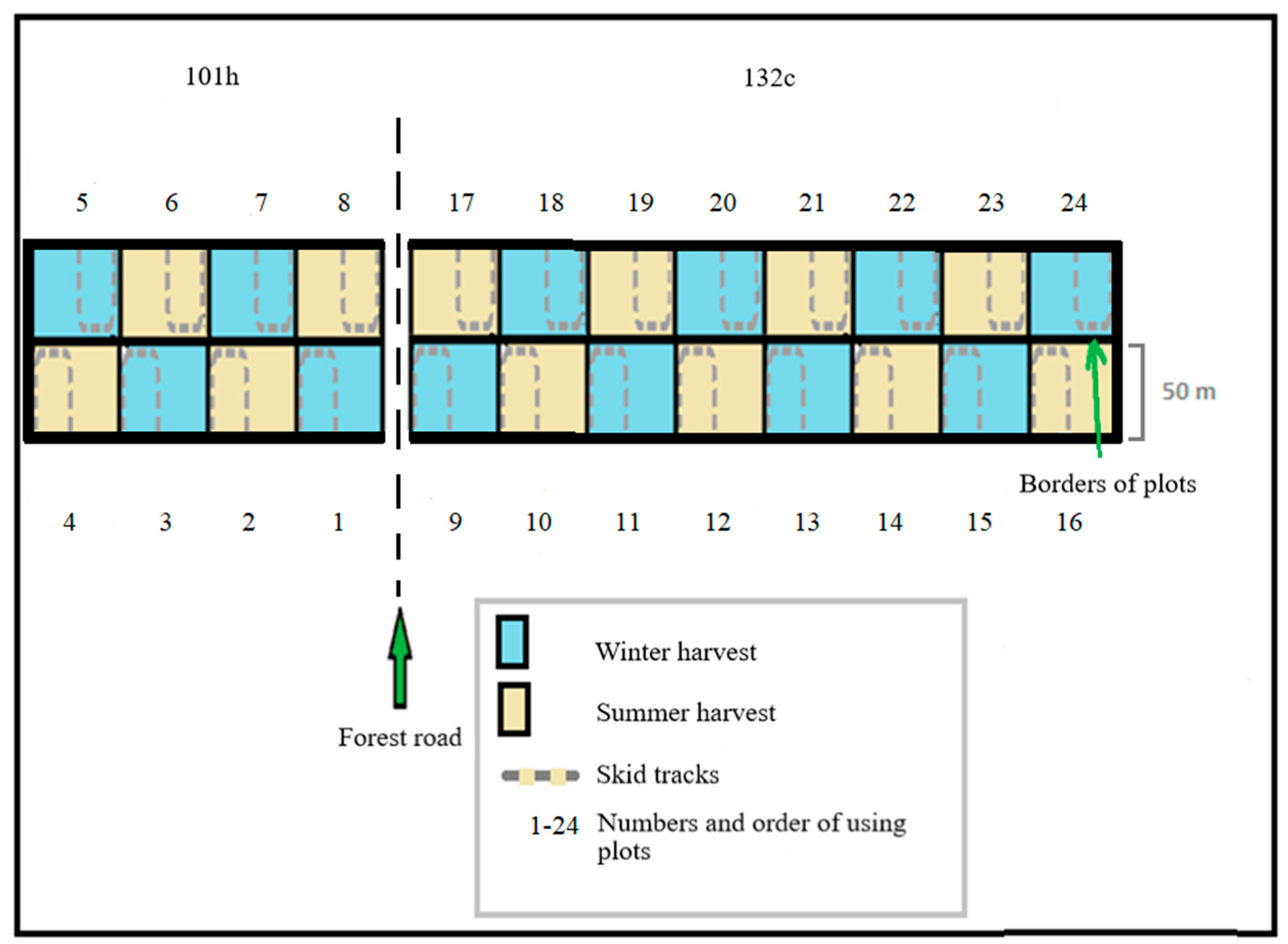 Forests 10 00668 g002