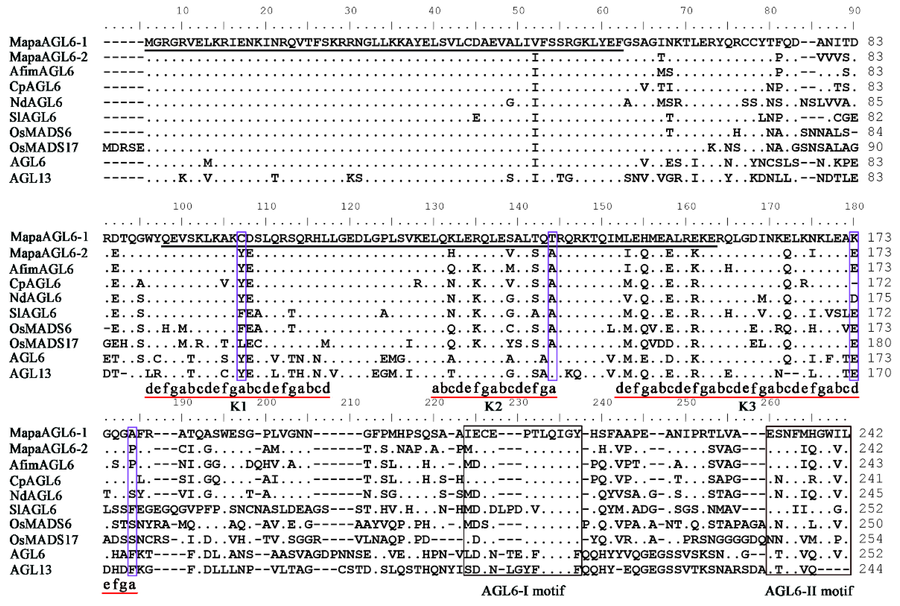 Forests 10 00669 g003 Forests 10 00669 g003
