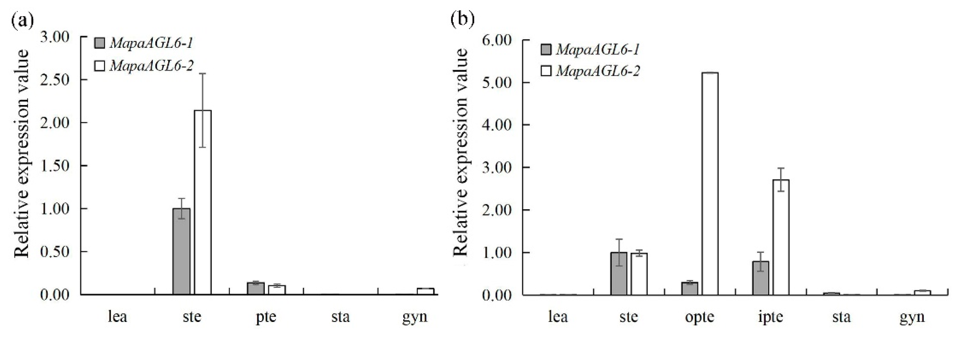 Forests 10 00669 g004 Forests 10 00669 g004