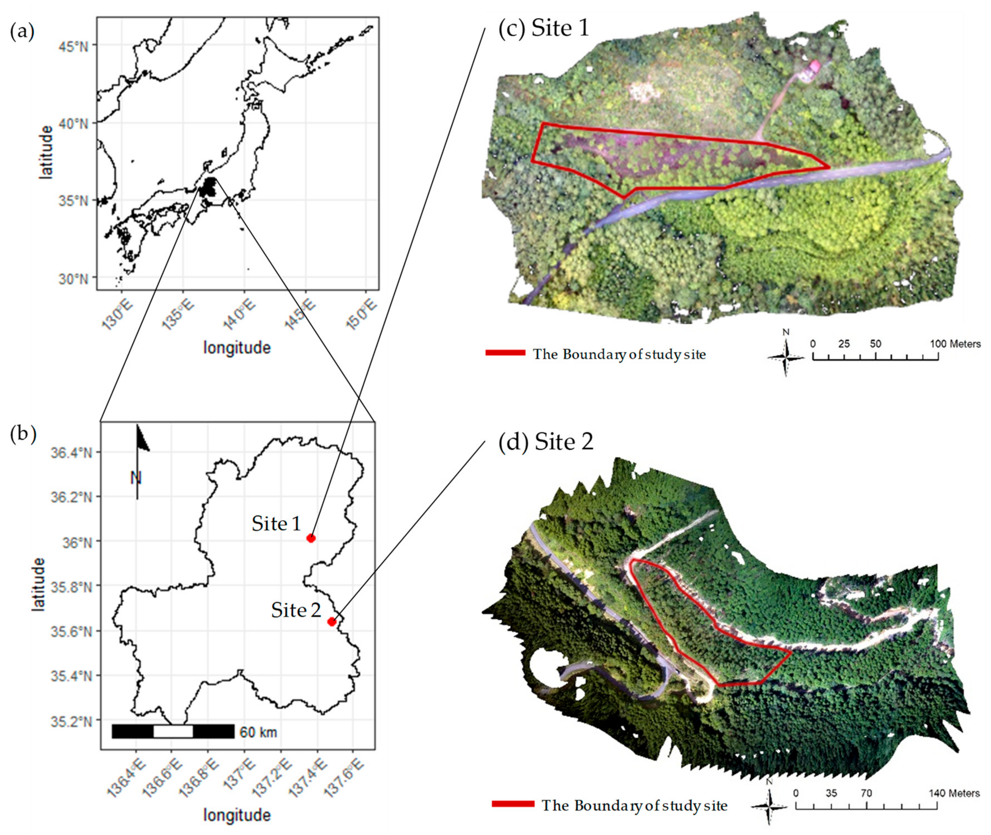Forests 10 00680 g001 Forests 10 00680 g001