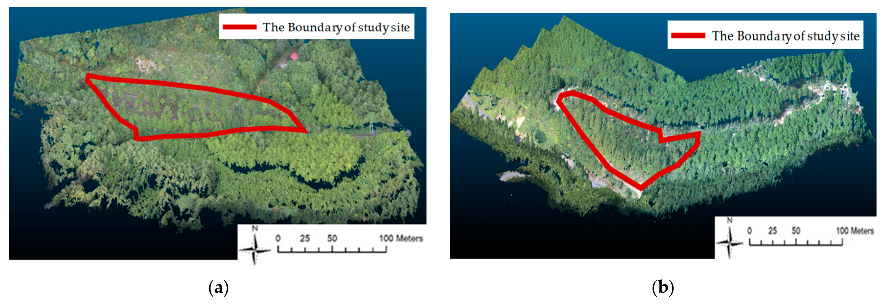 Forests 10 00680 g004 Forests 10 00680 g004