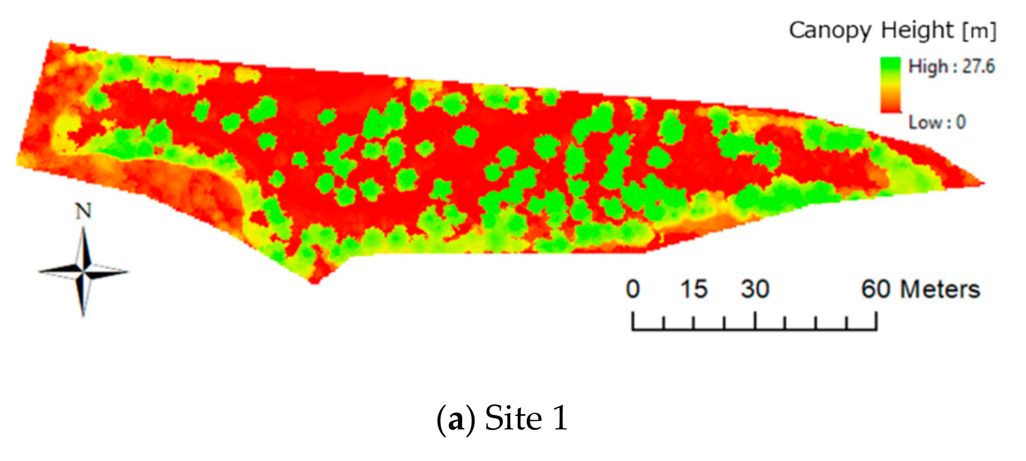 Forests 10 00680 g007a Forests 10 00680 g007a