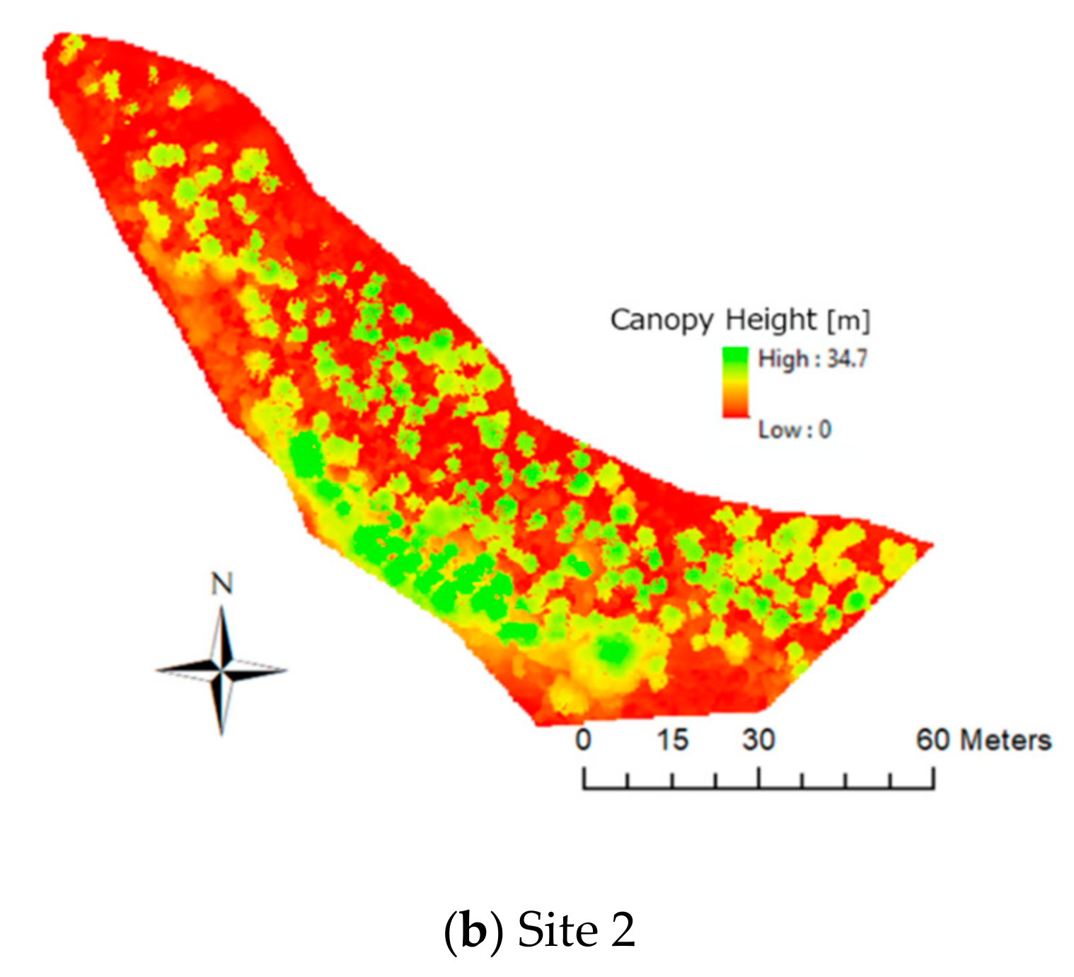 Forests 10 00680 g007b Forests 10 00680 g007b