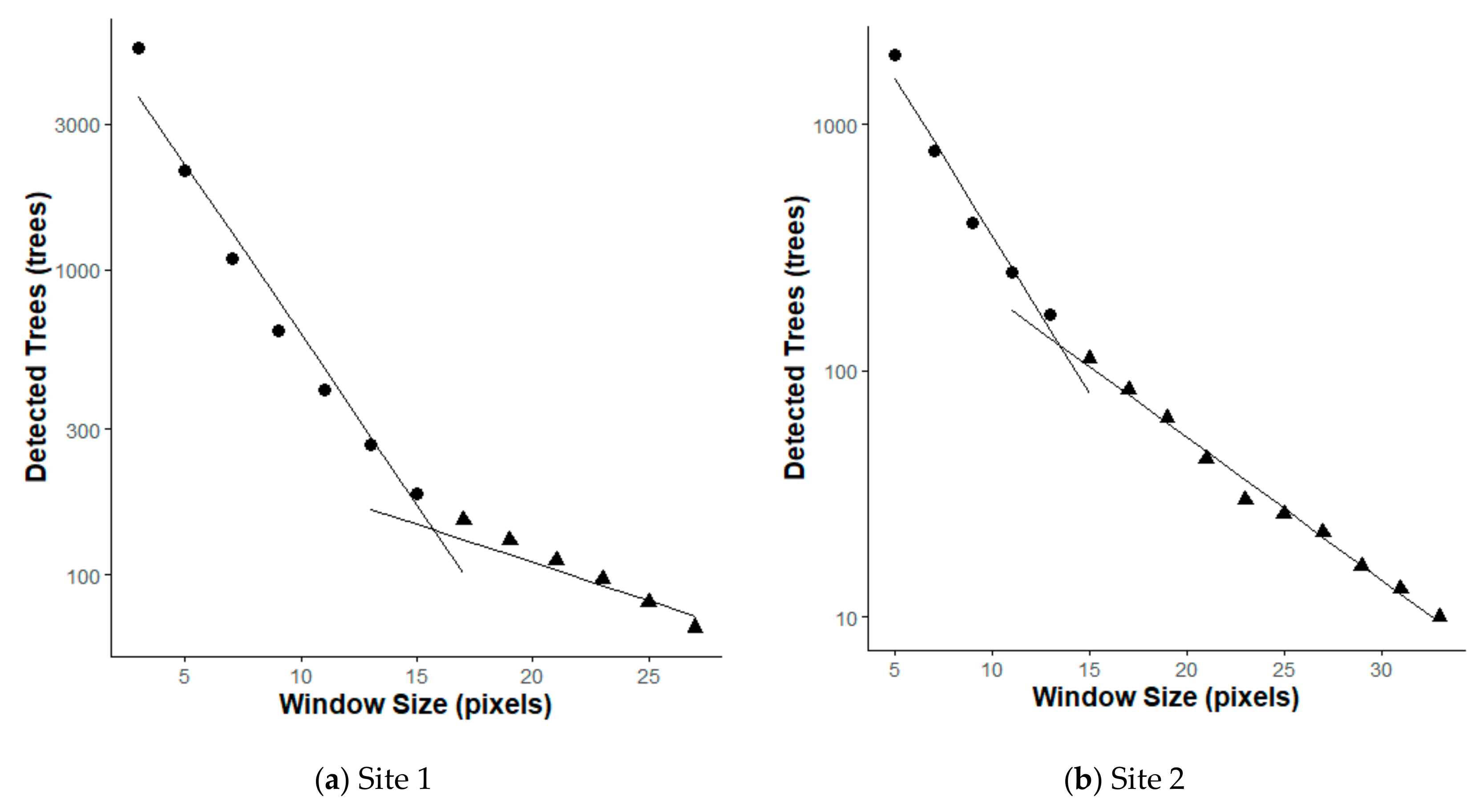 Forests 10 00680 g008 Forests 10 00680 g008