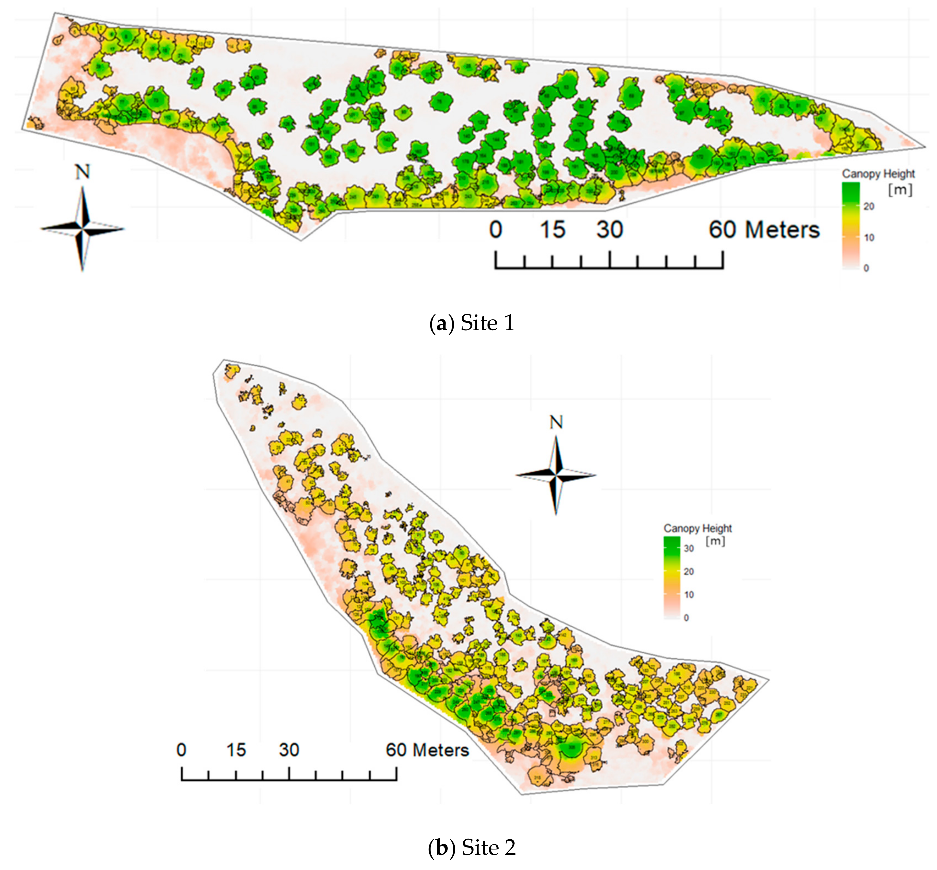 Forests 10 00680 g009 Forests 10 00680 g009