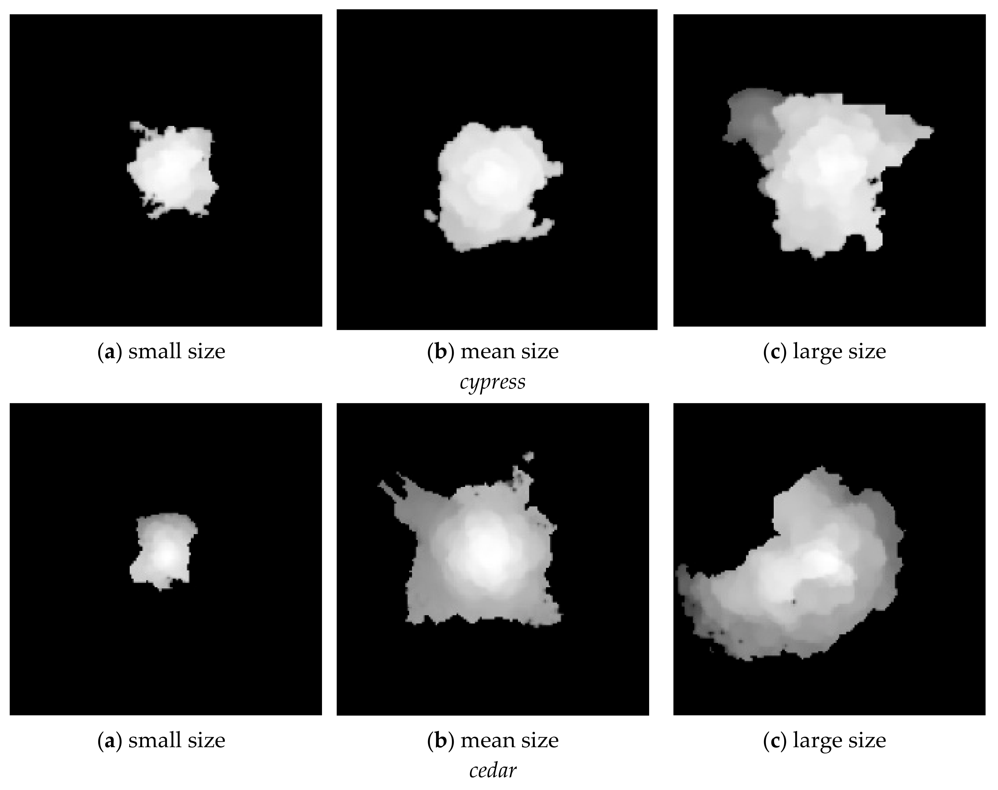 Forests 10 00680 g010 Forests 10 00680 g010