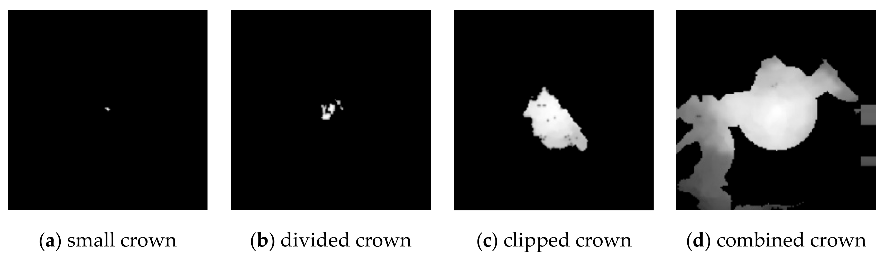 Forests 10 00680 g016 Forests 10 00680 g016