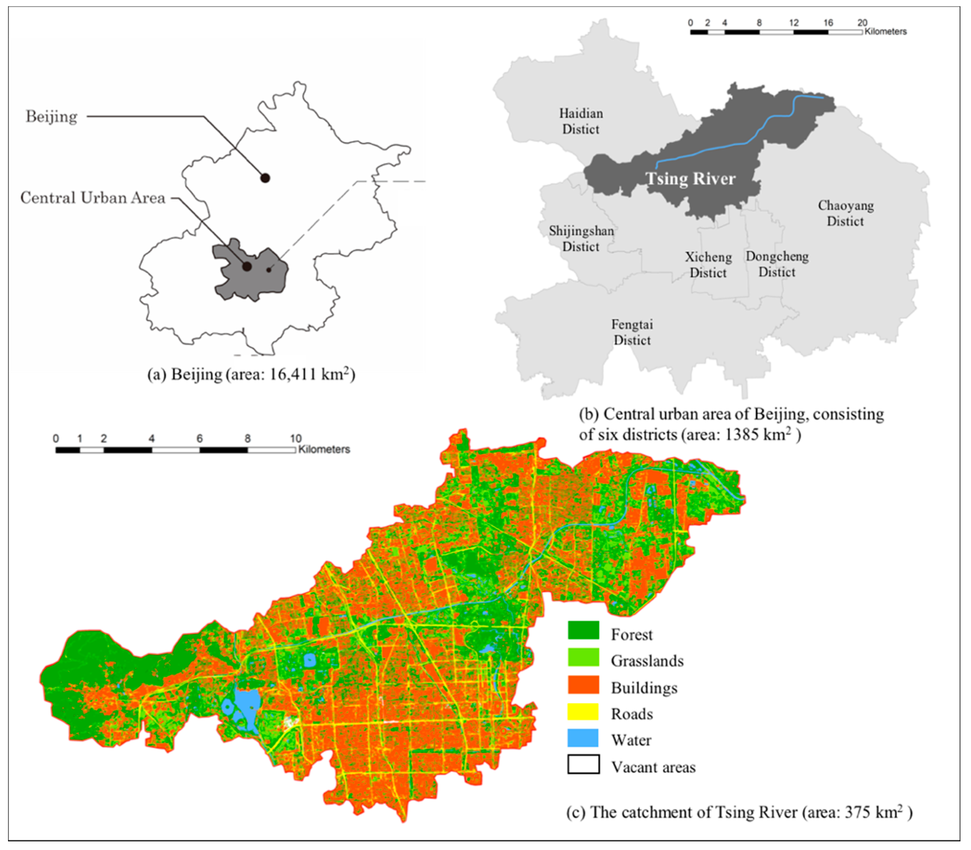 Forests 10 00683 g001 Forests 10 00683 g001