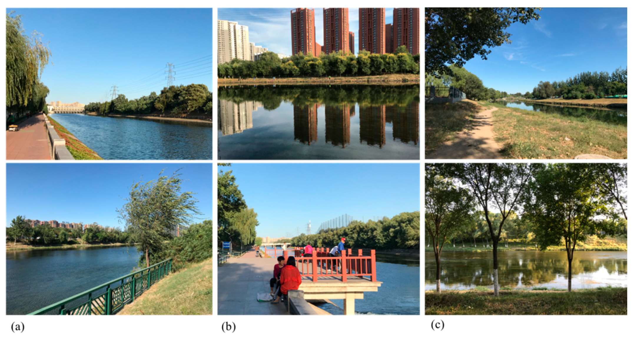 Forests 10 00683 g002 Forests 10 00683 g002