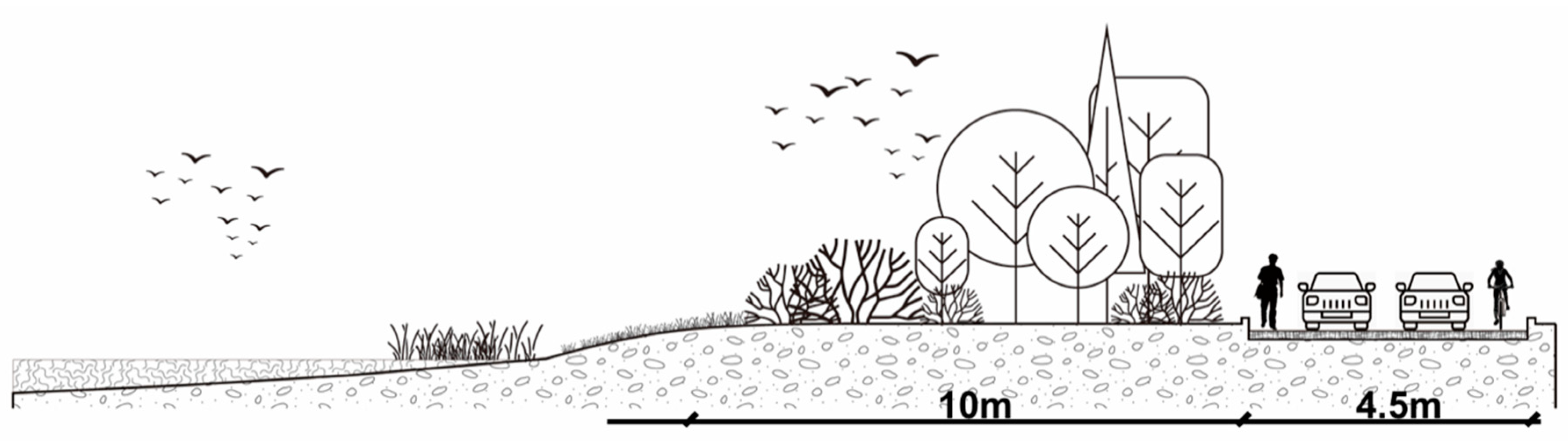 Forests 10 00683 g003 Forests 10 00683 g003