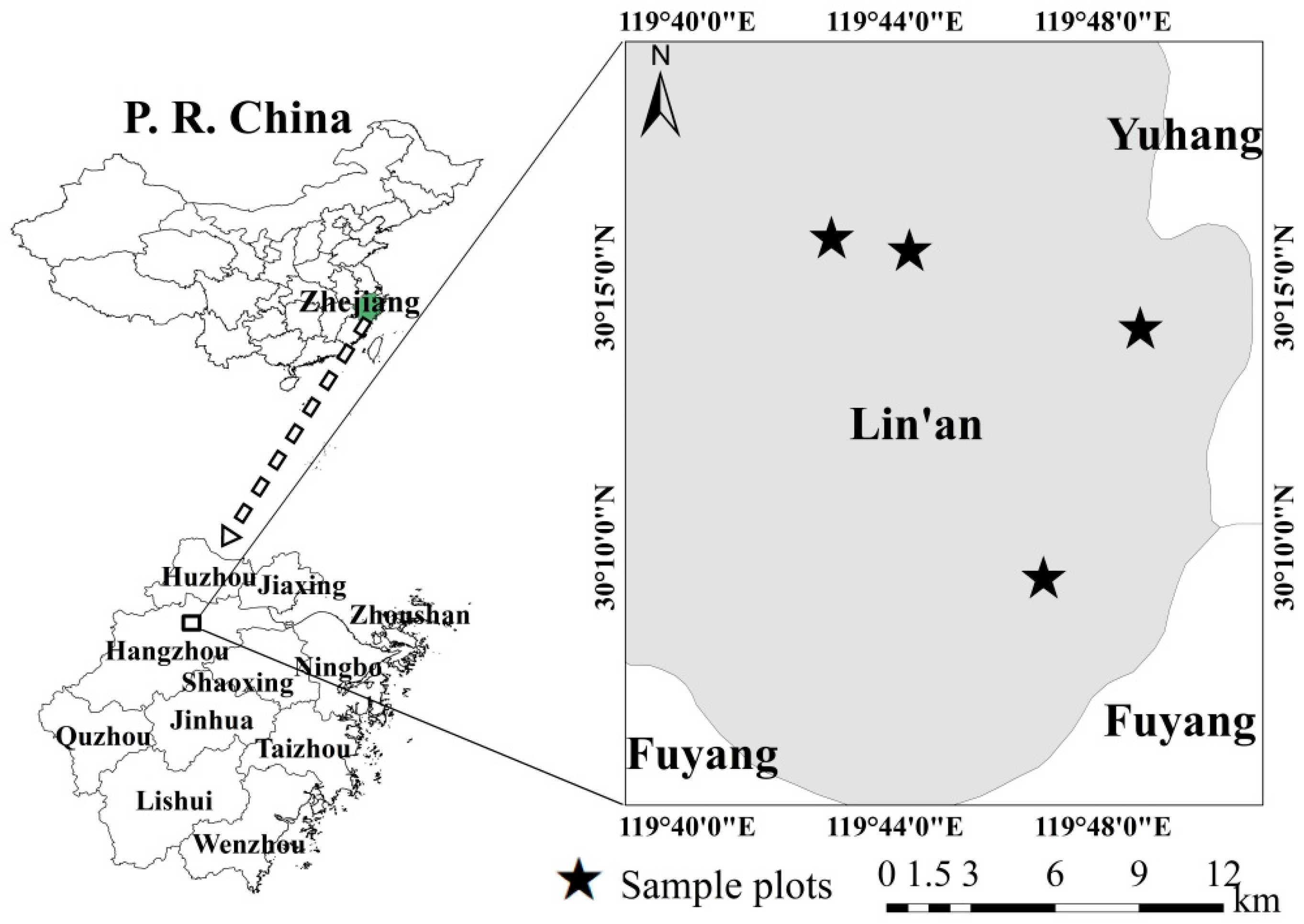 Forests 10 00686 g001 Forests 10 00686 g001