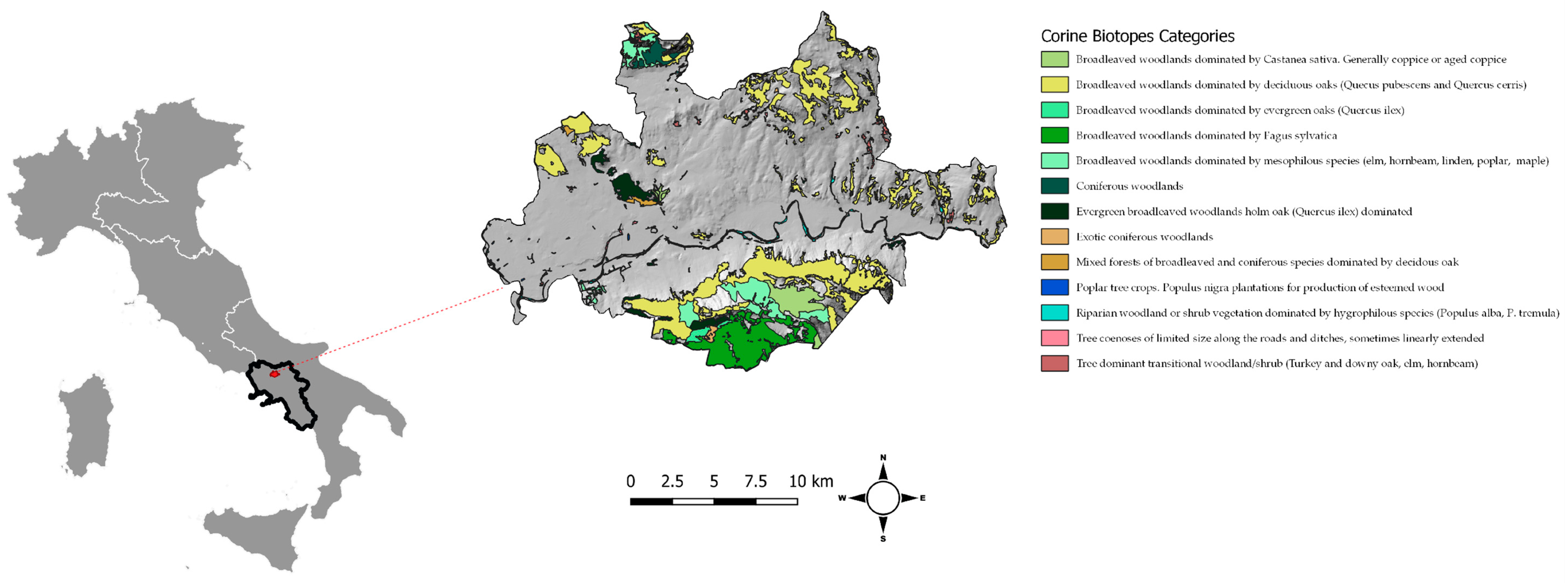 Forests 10 00690 g001