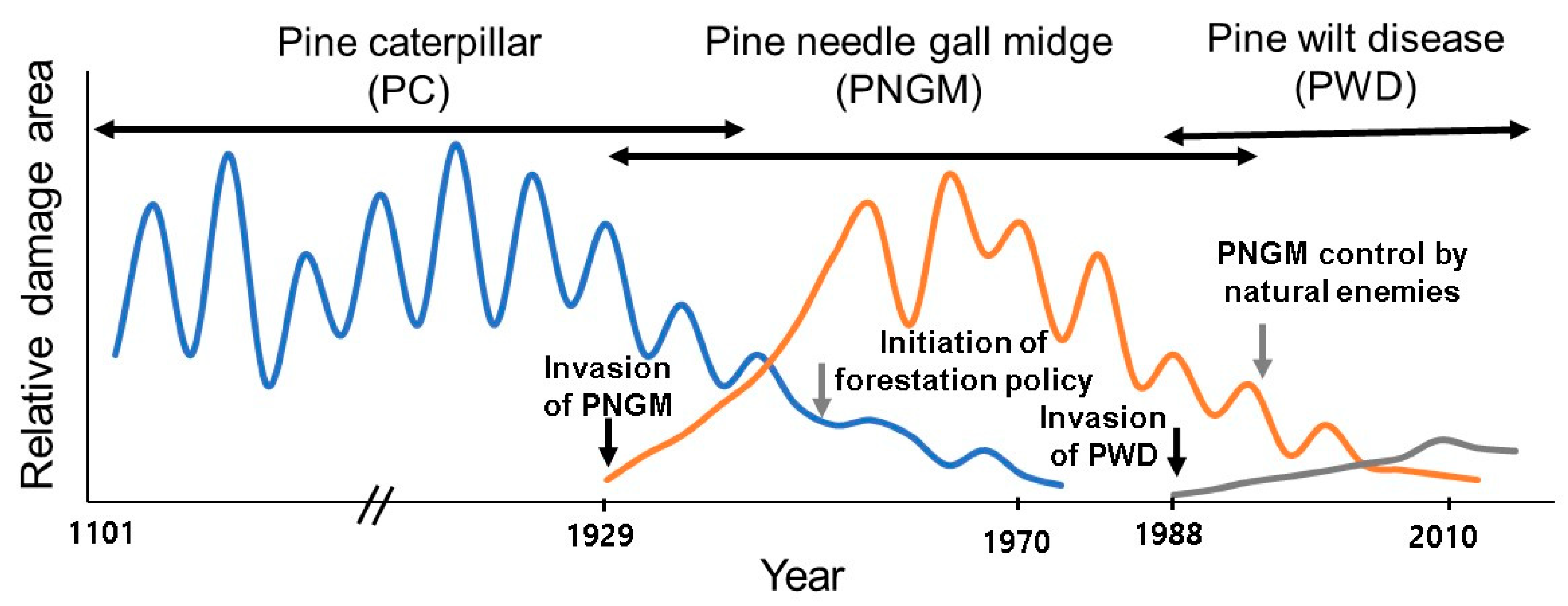 Forests 10 00692 g003 Forests 10 00692 g003