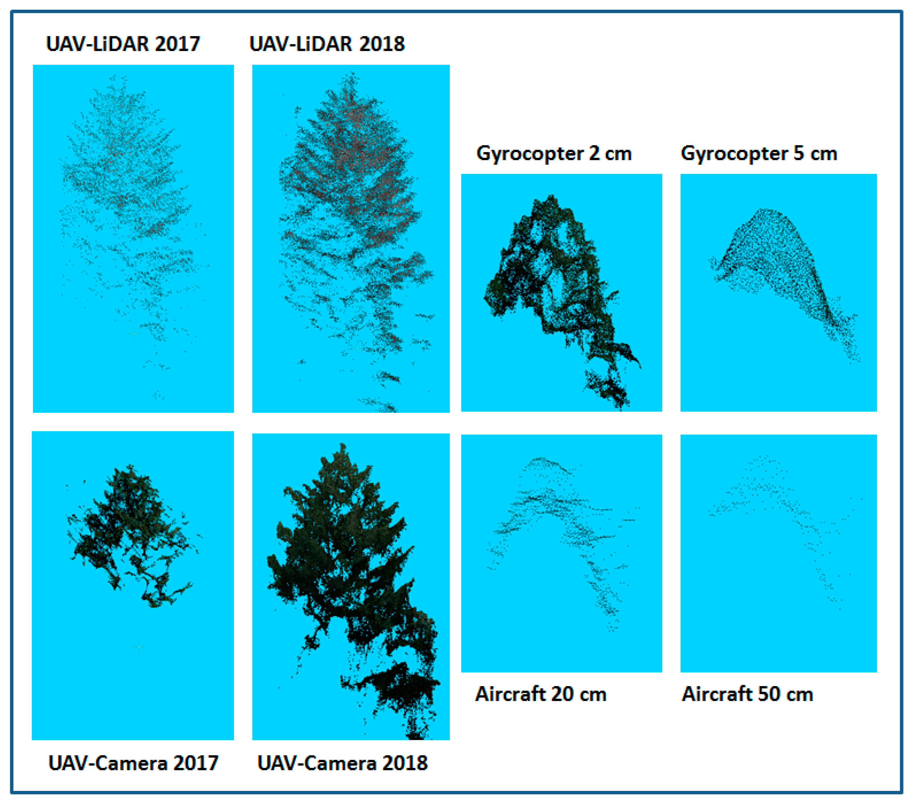Forests 10 00694 g002 Forests 10 00694 g002