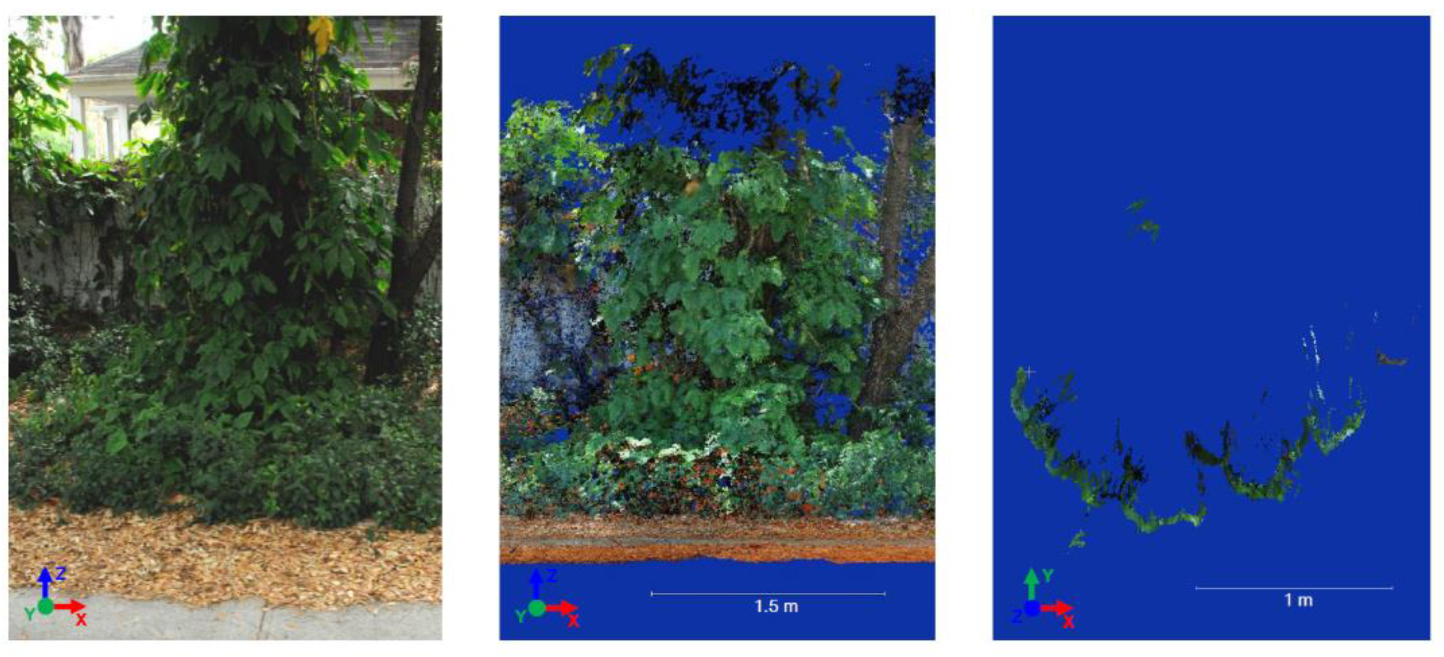 Forests 10 00701 g007