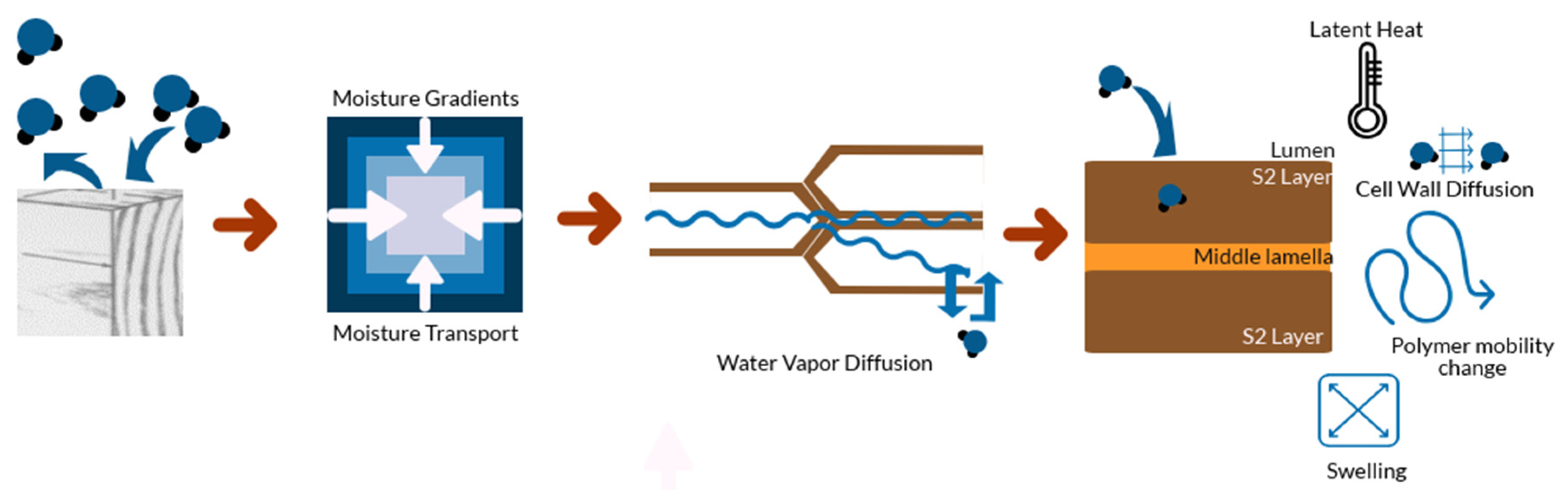 Forests 10 00704 g005 Forests 10 00704 g005