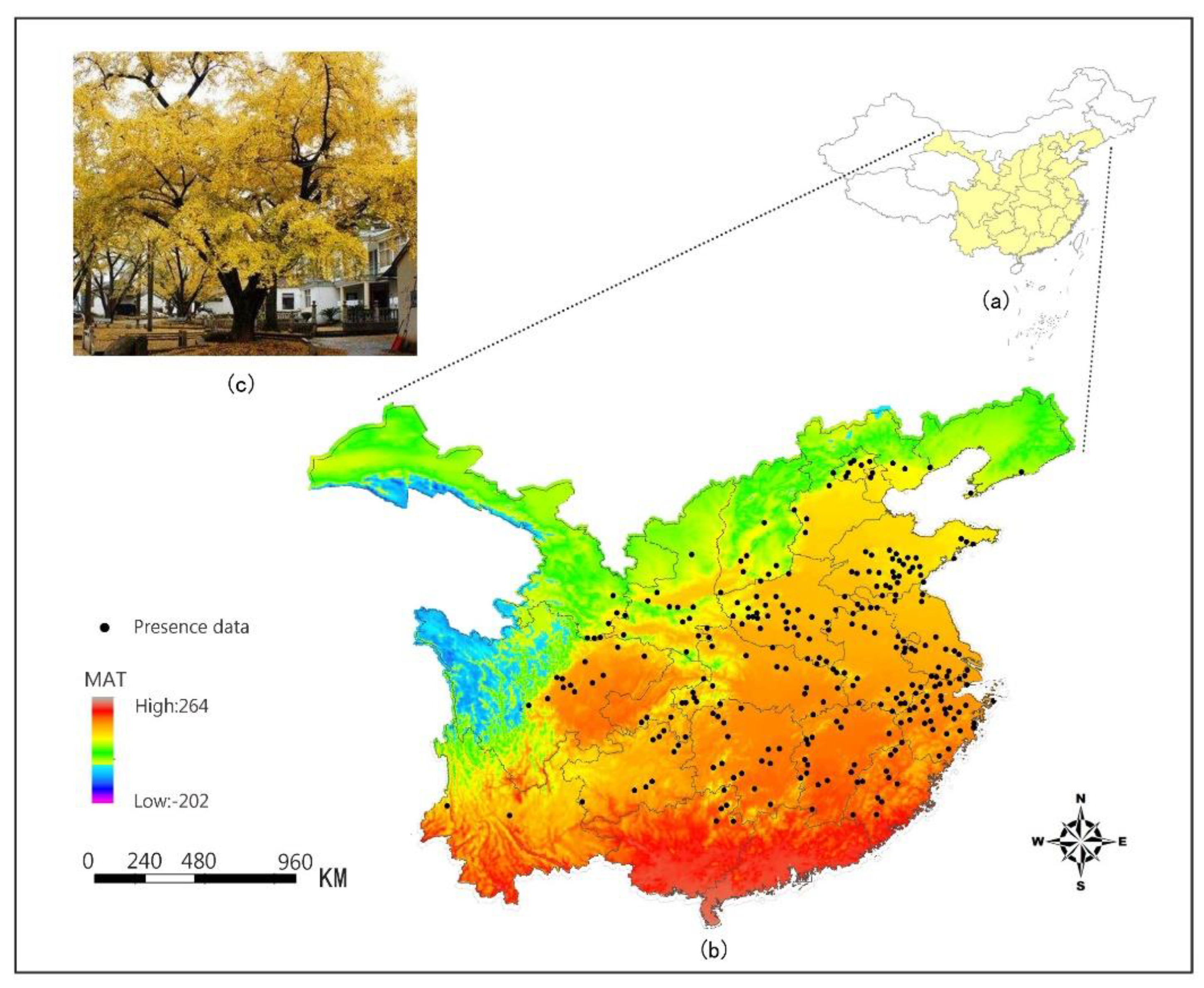 Forests 10 00705 g001 Forests 10 00705 g001
