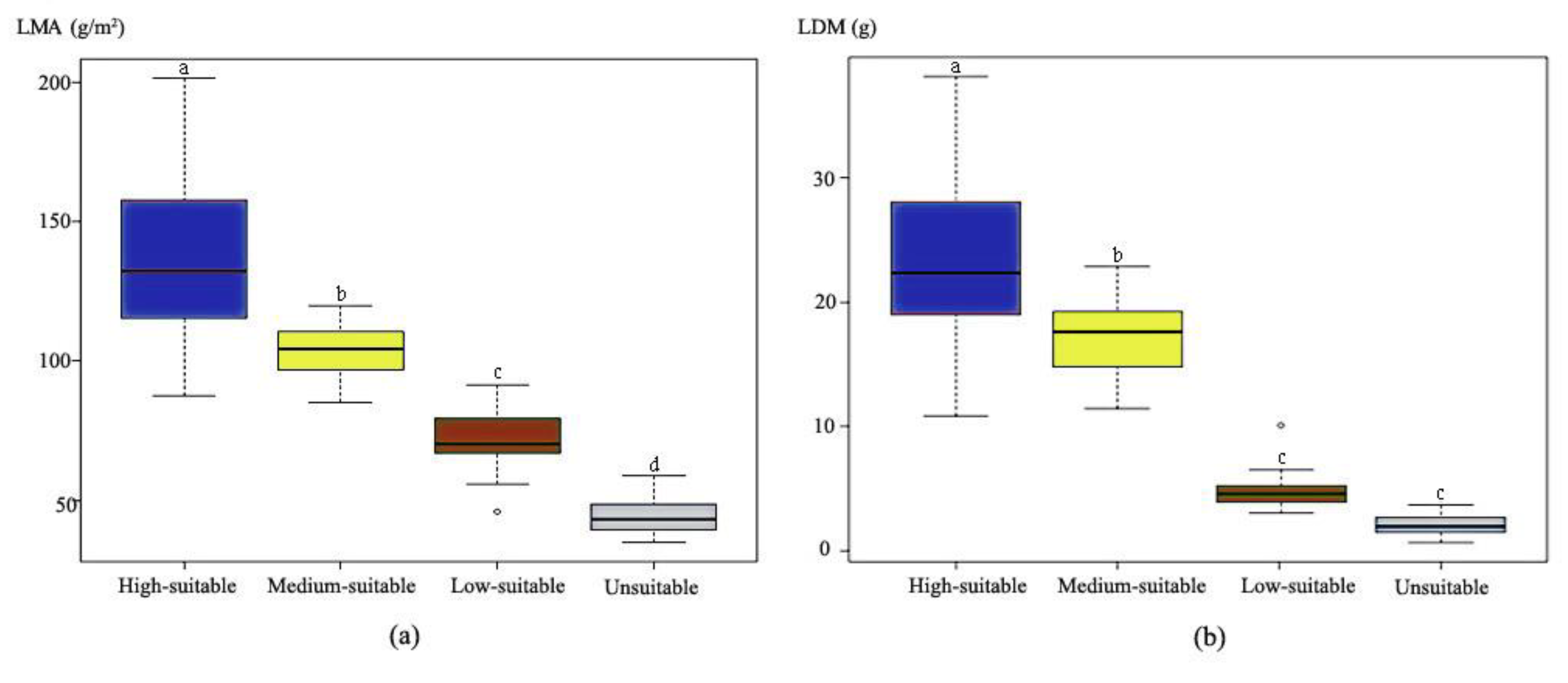 Forests 10 00705 g005 Forests 10 00705 g005