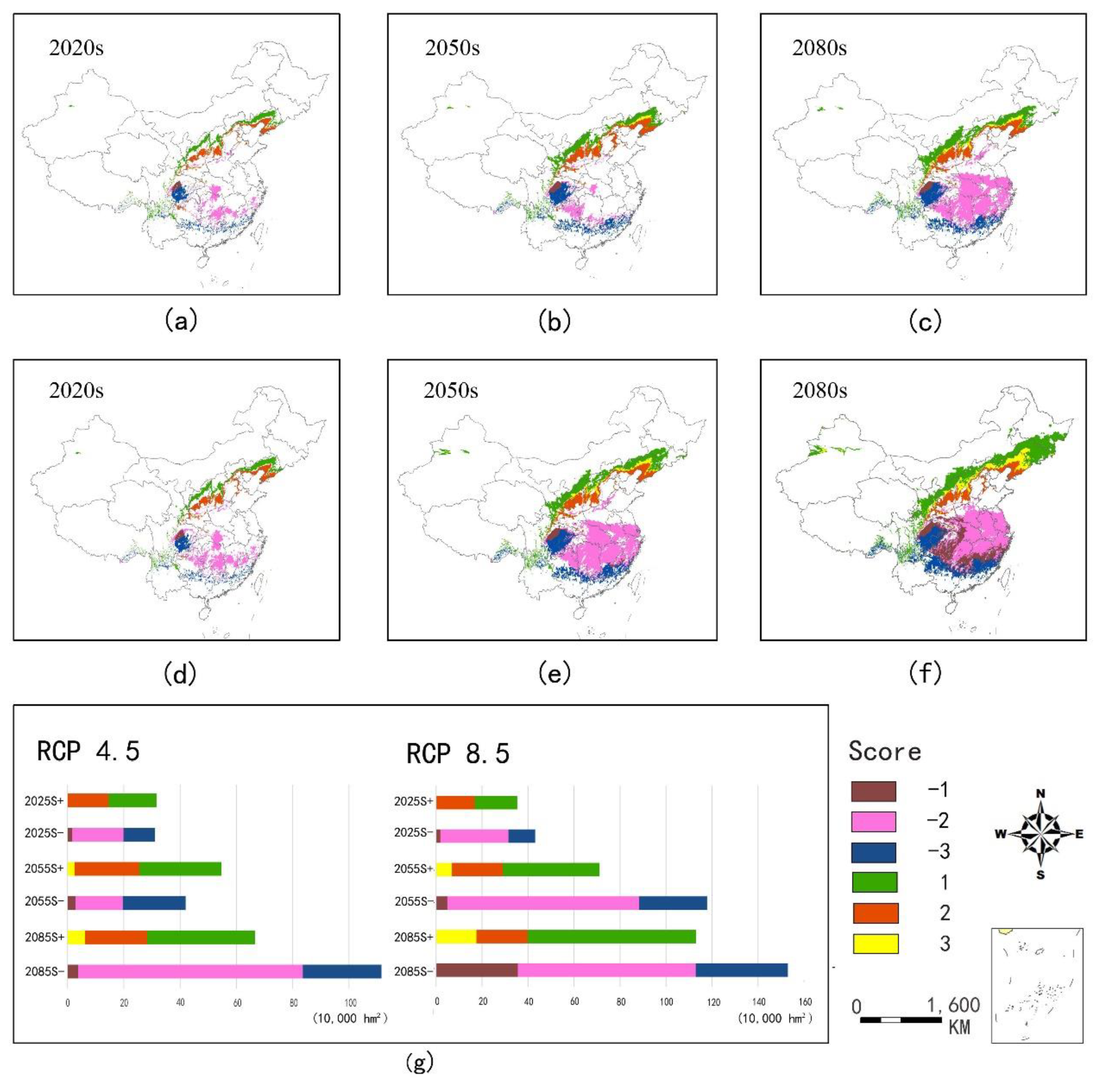 Forests 10 00705 g007 Forests 10 00705 g007