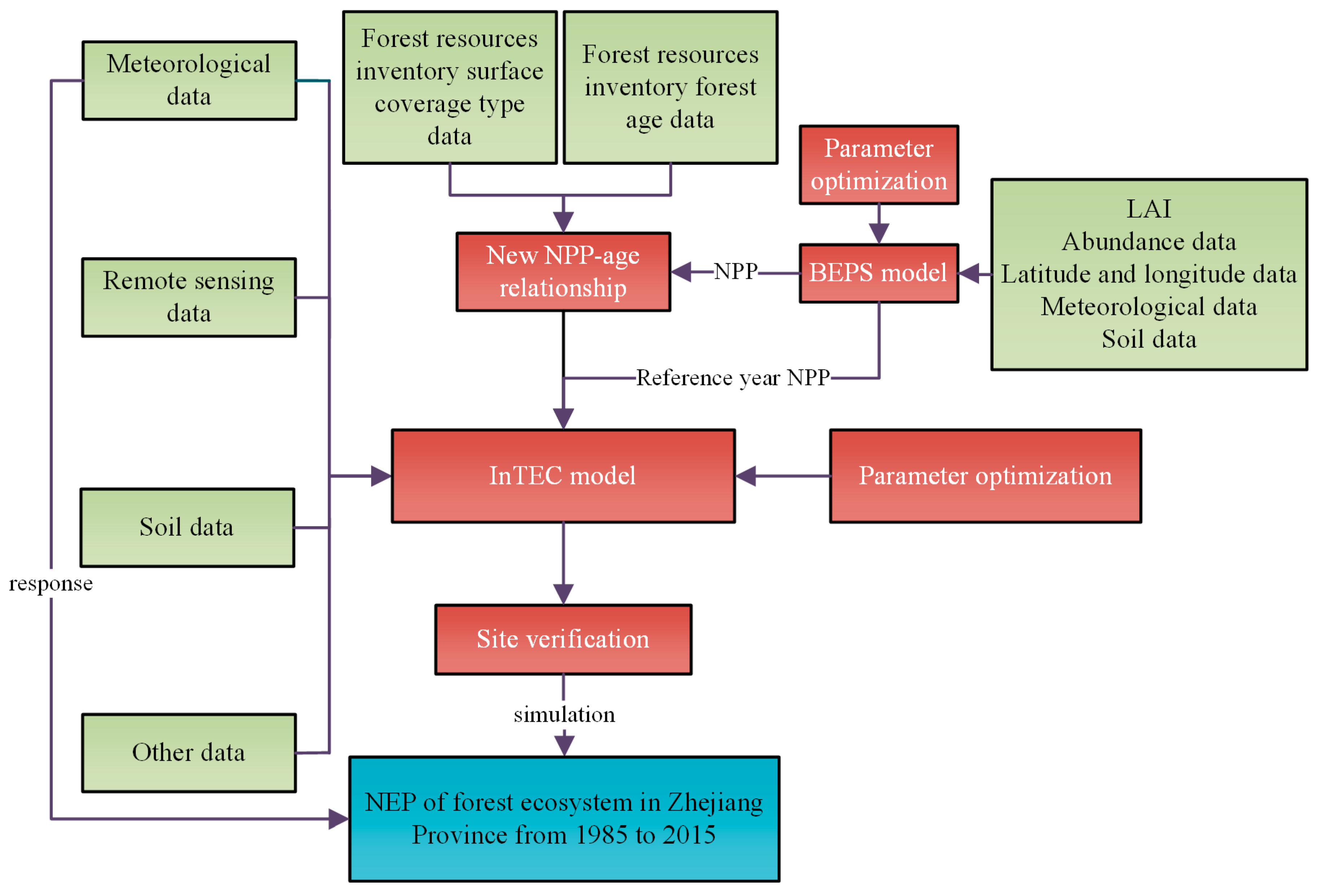 Forests 10 00708 g003 Forests 10 00708 g003