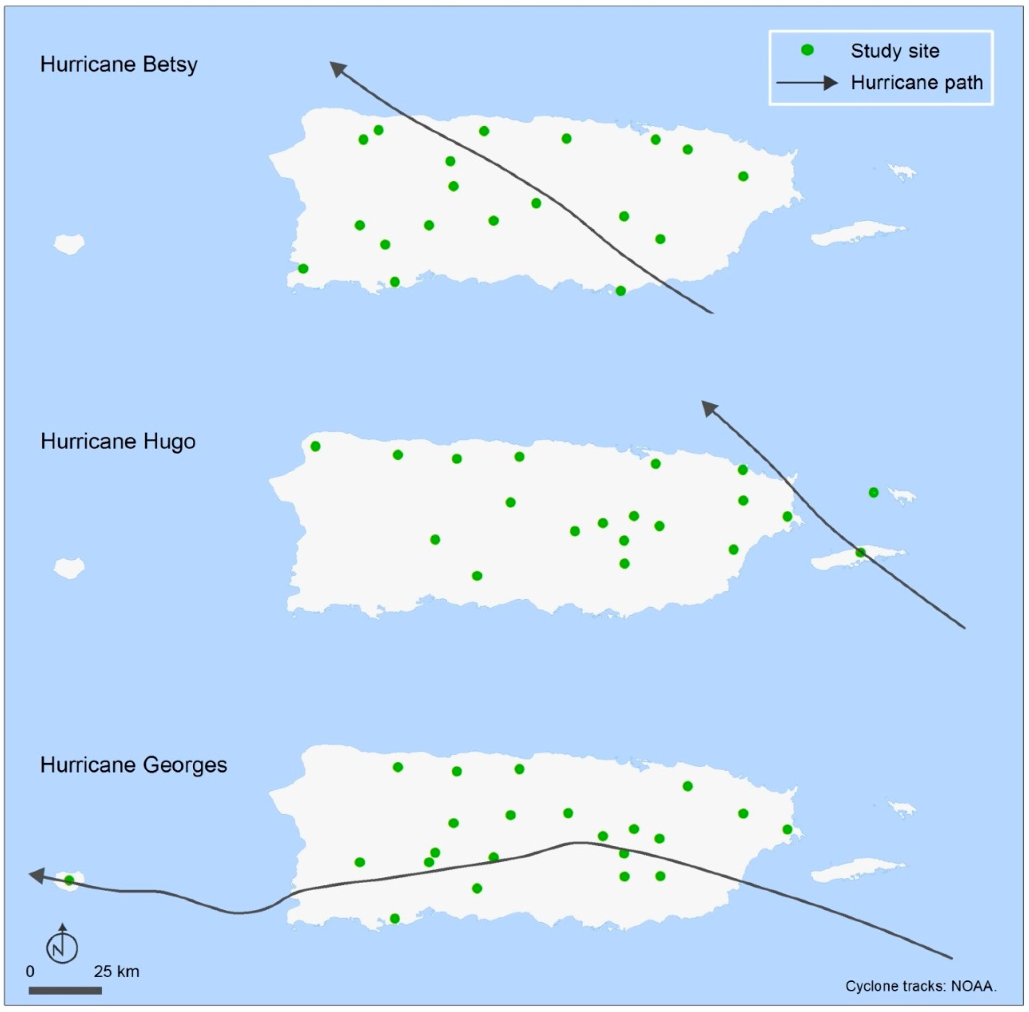 Forests 10 00710 g004 Forests 10 00710 g004