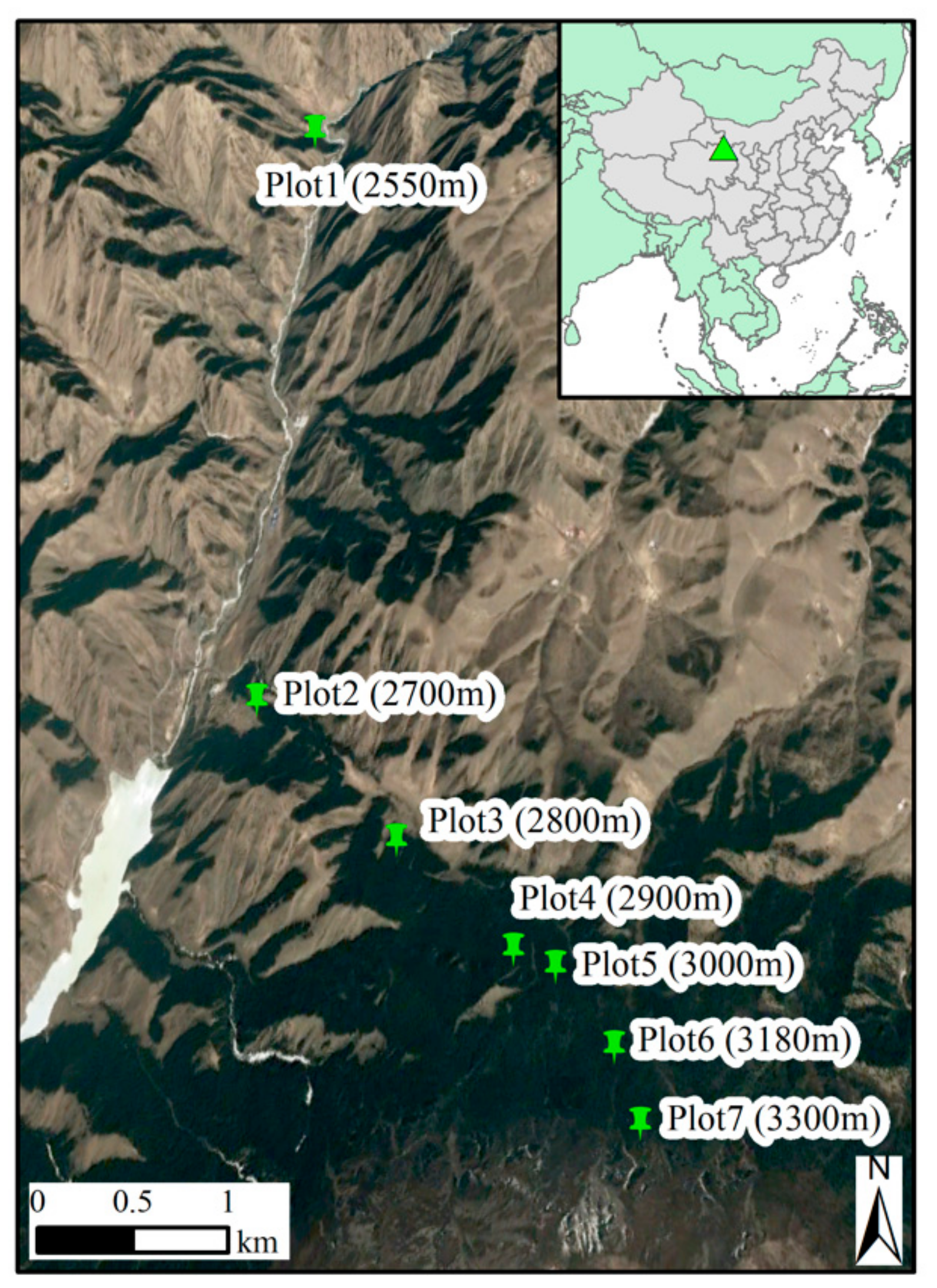 Forests 10 00712 g001 Forests 10 00712 g001