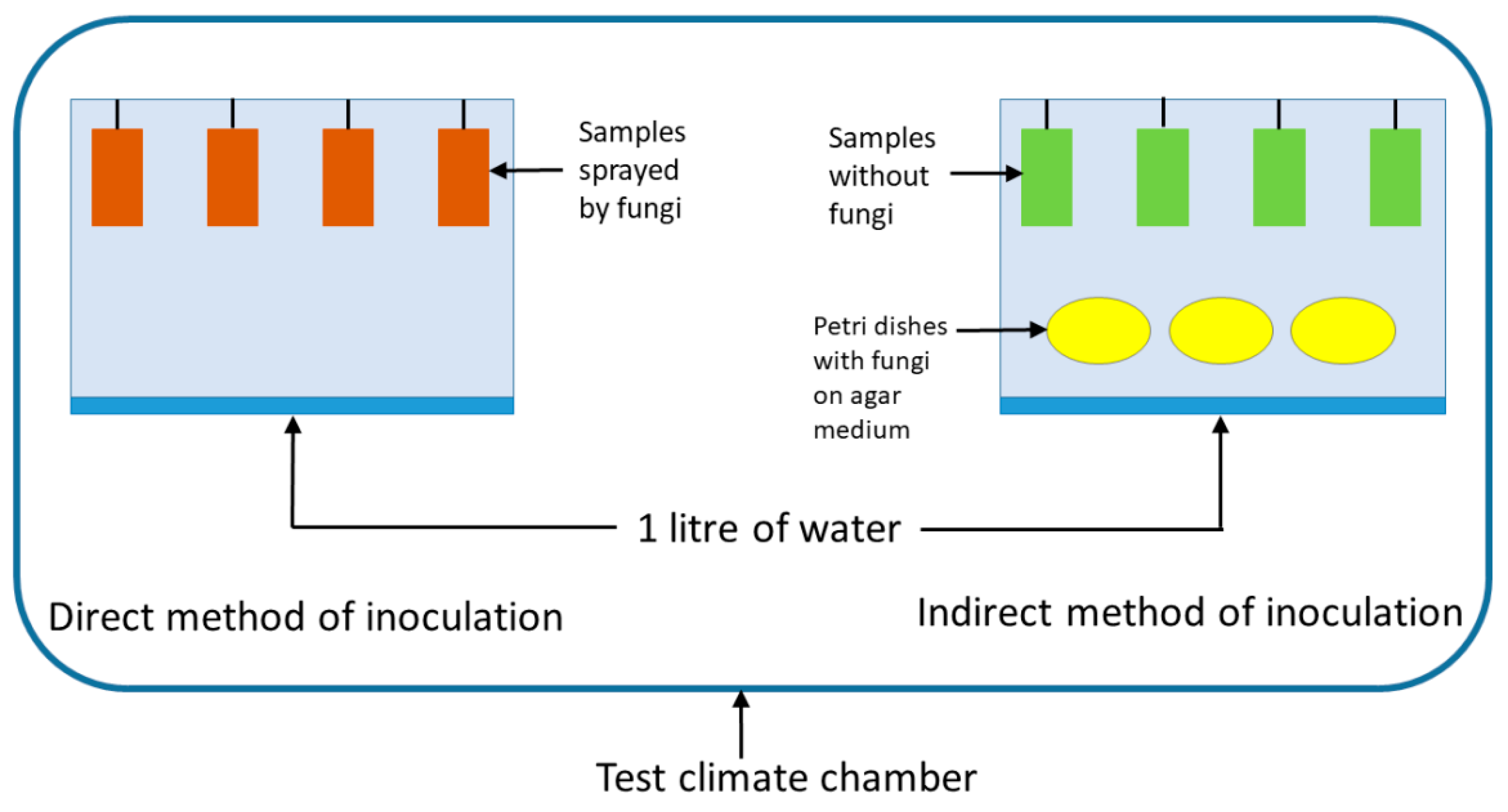 Forests 10 00714 g002 Forests 10 00714 g002