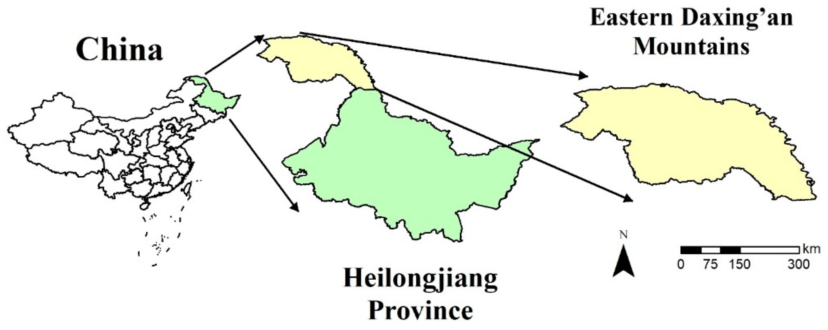 Forests 10 00715 g001