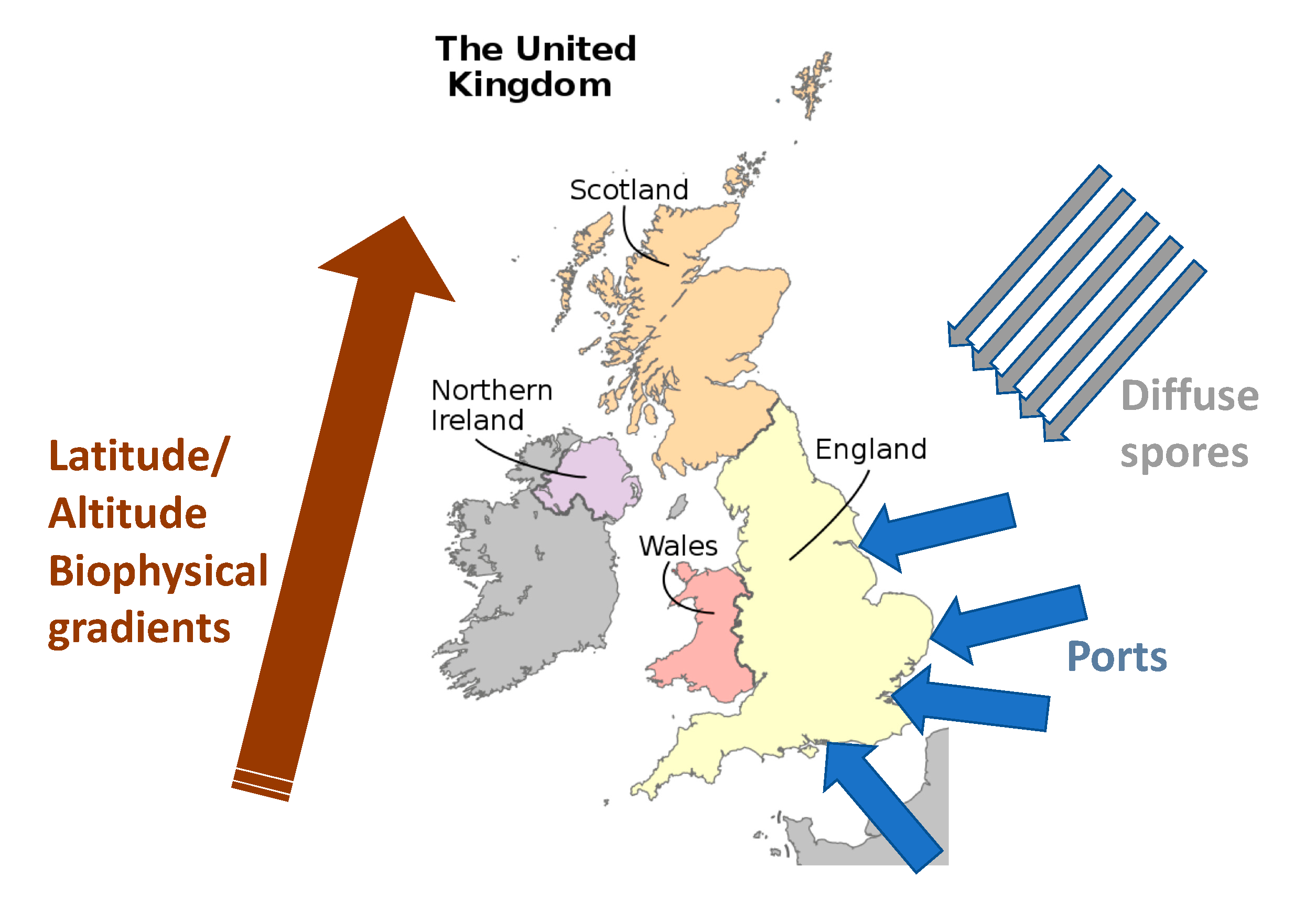 Forests 10 00716 g001