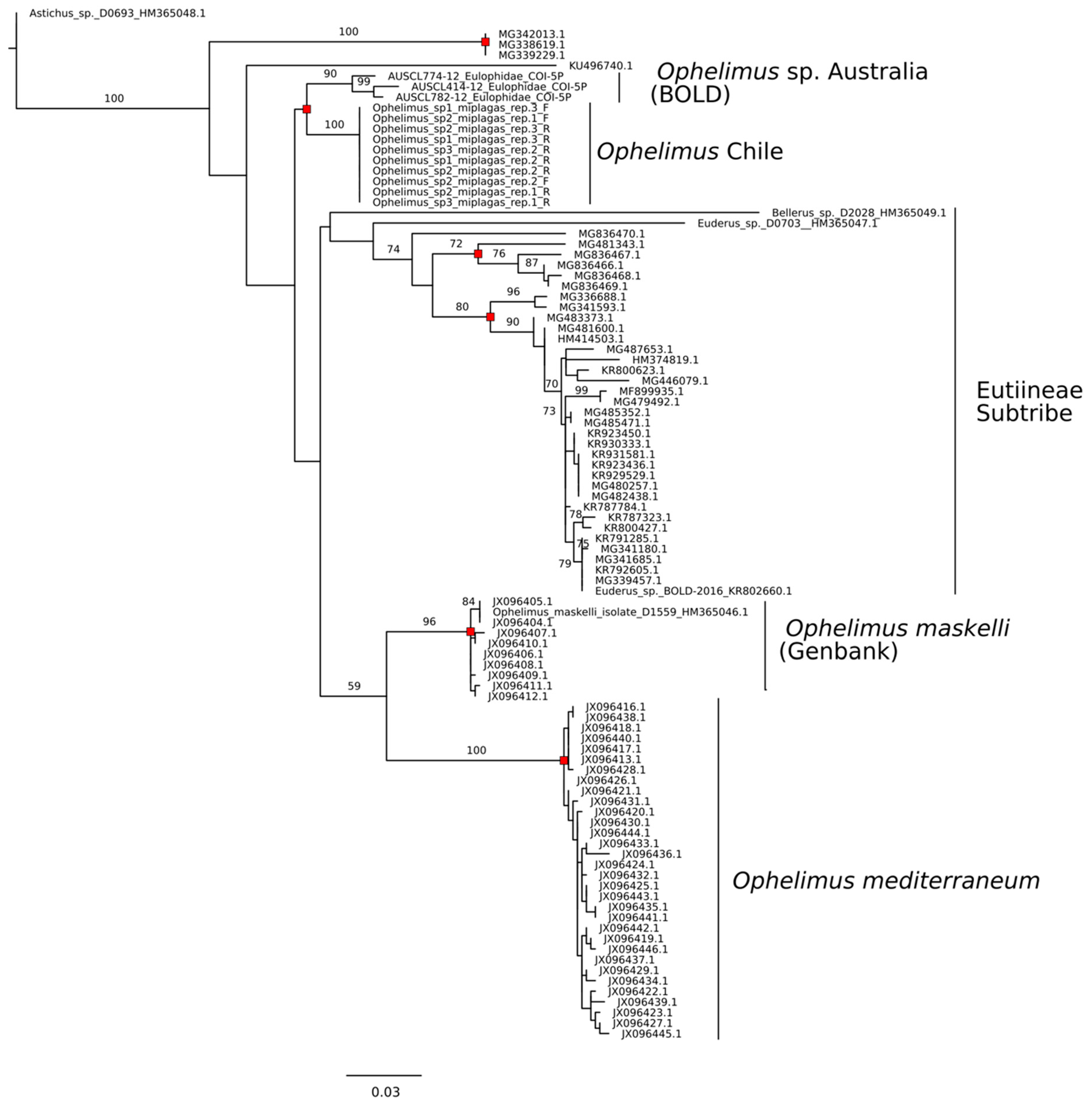 Forests 10 00720 g004