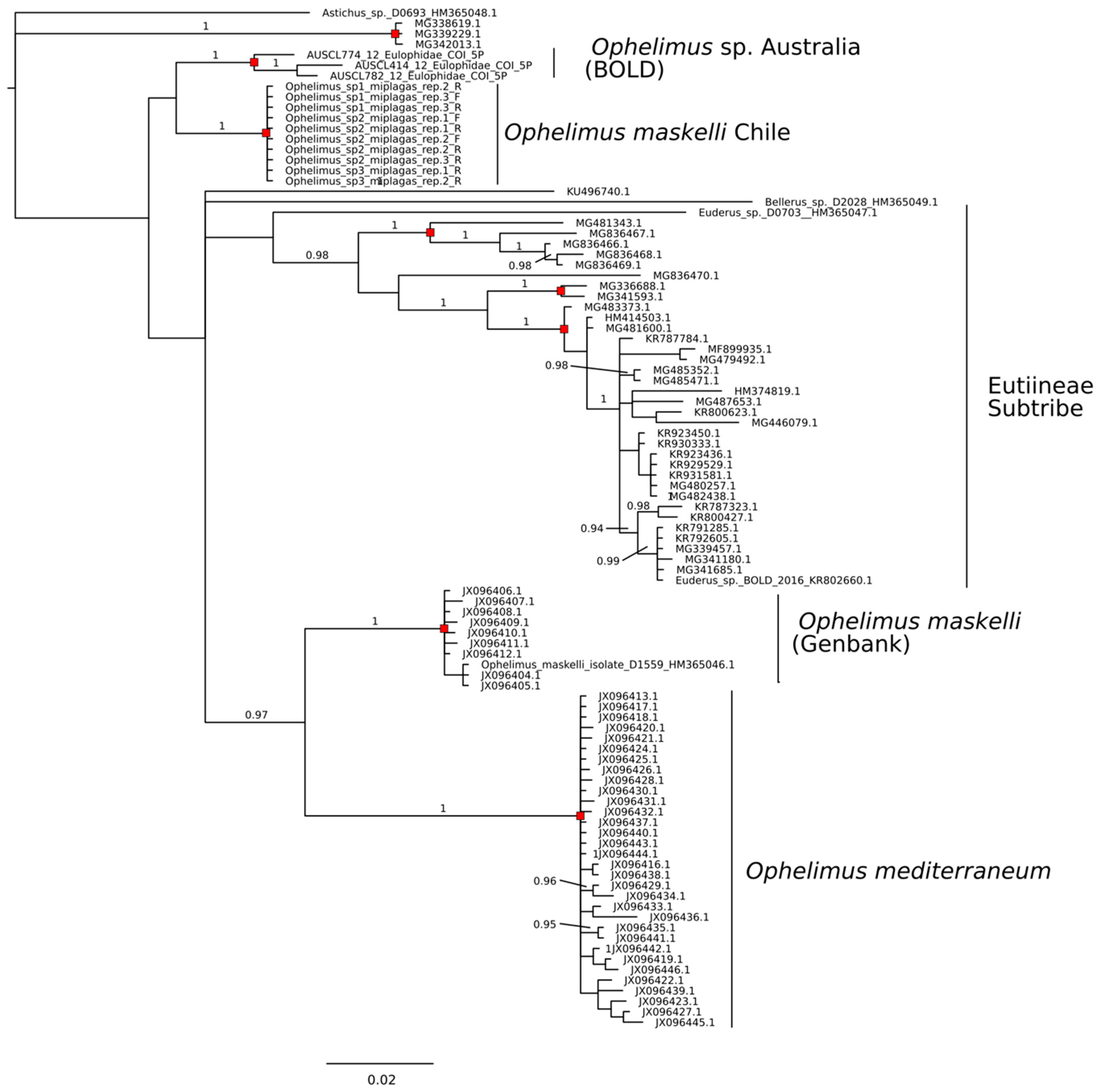 Forests 10 00720 g005