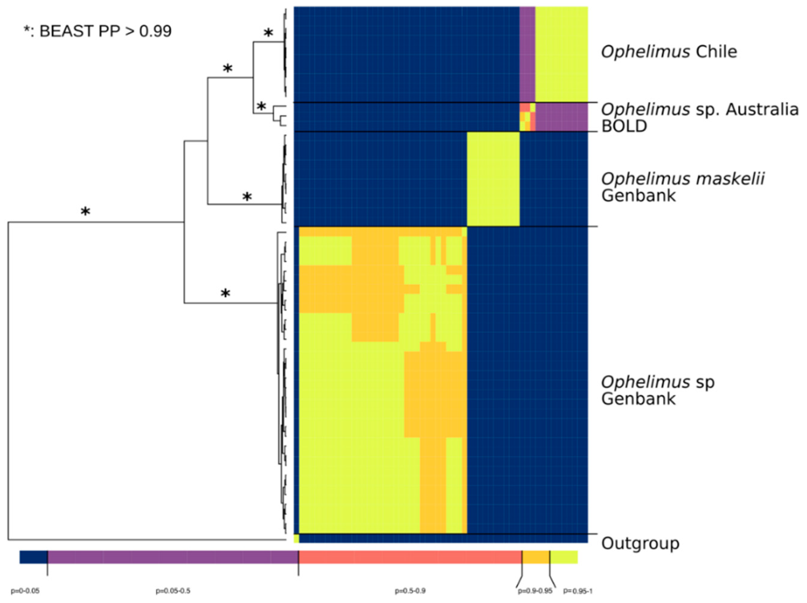 Forests 10 00720 g006
