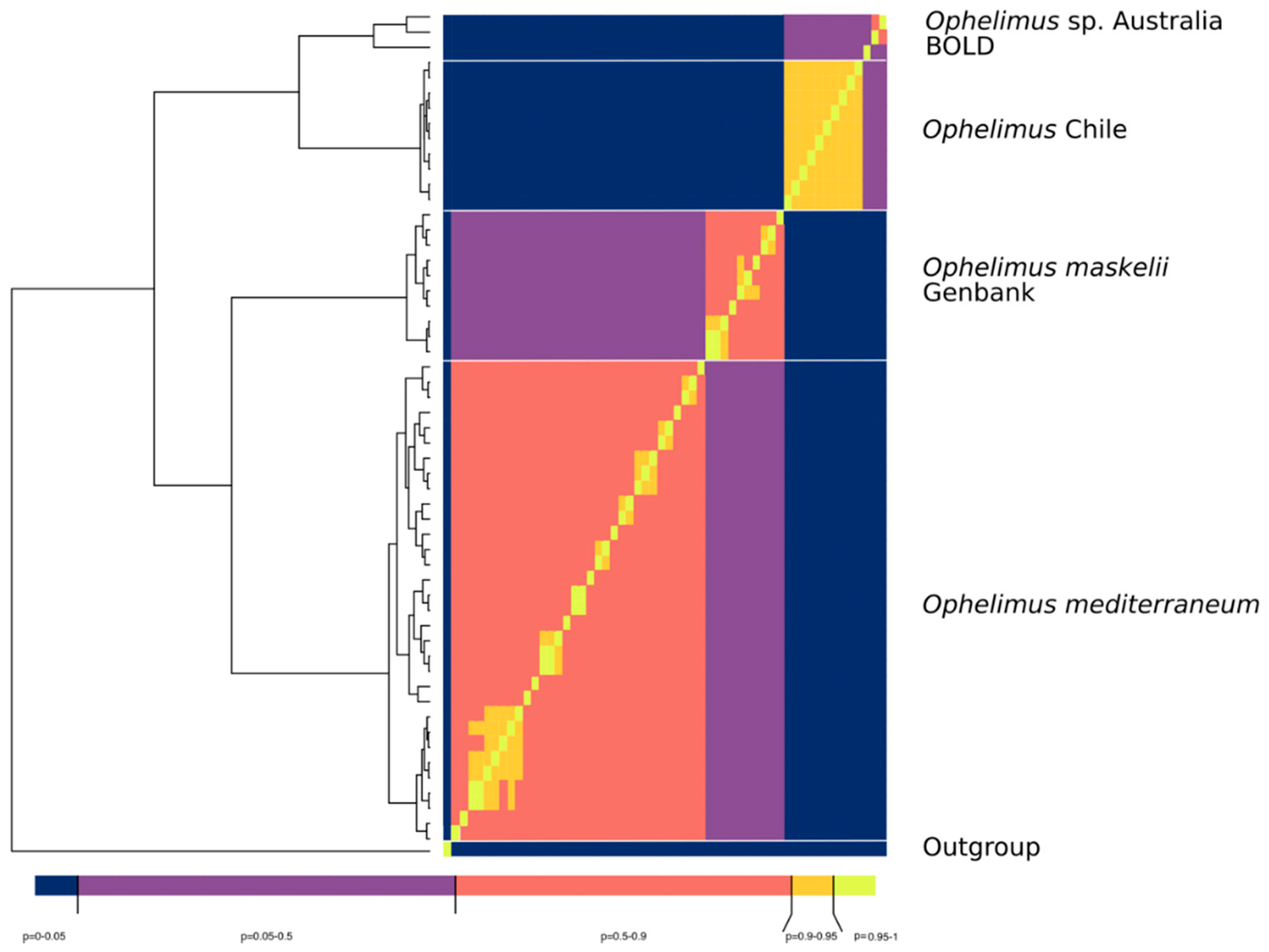 Forests 10 00720 g007