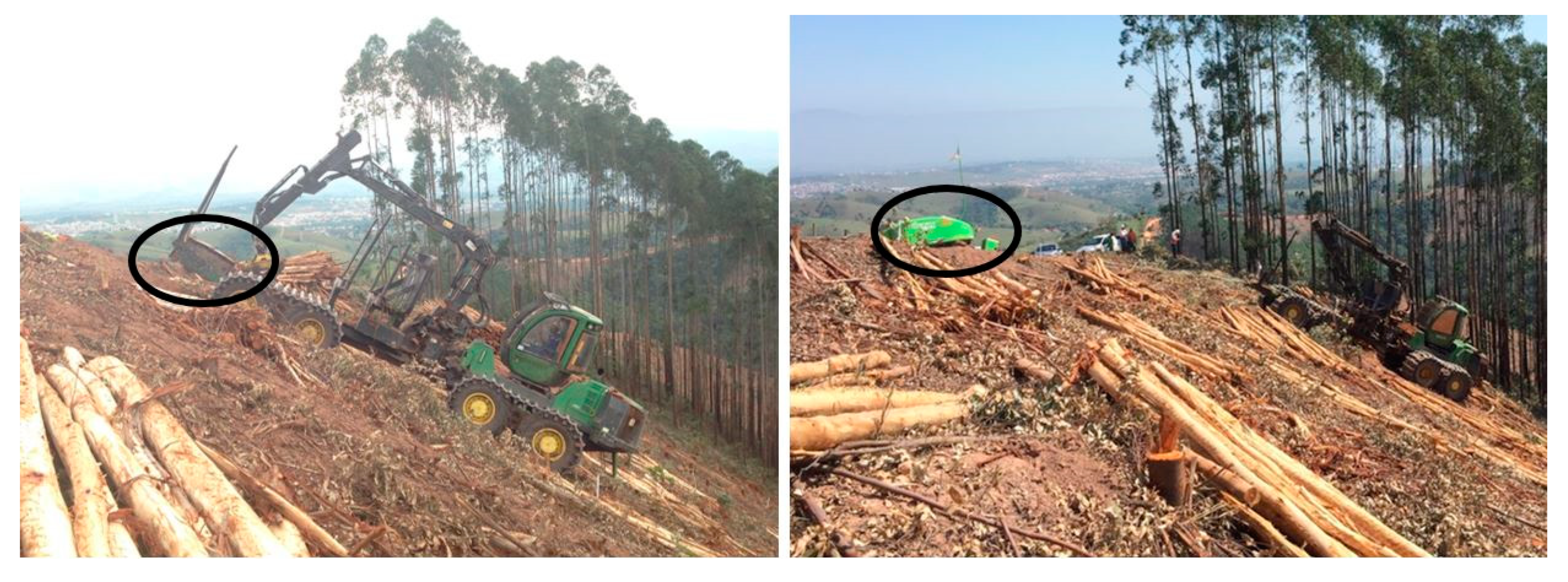 Forests 10 00721 g002