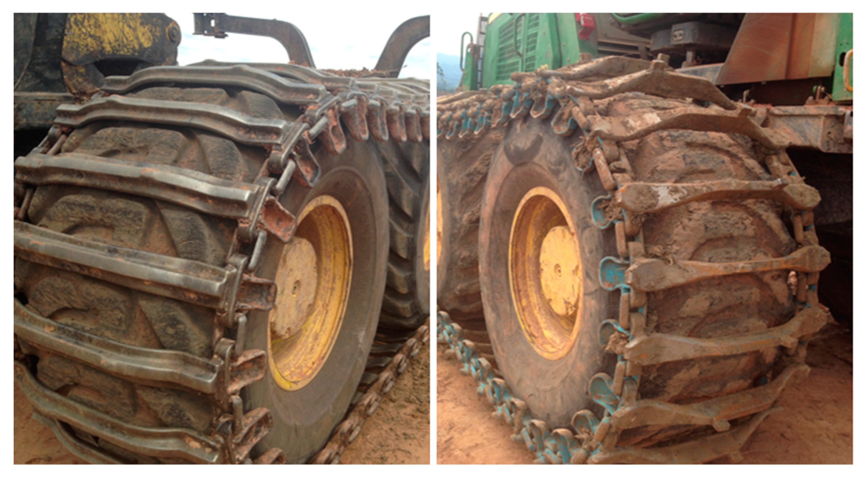 Forests 10 00721 g003