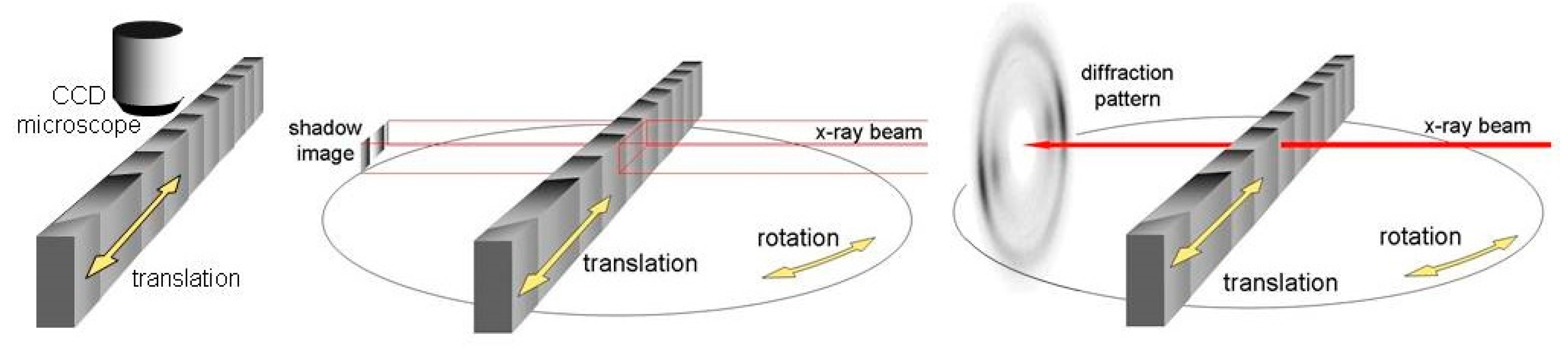 Forests 10 00728 g008 Forests 10 00728 g008