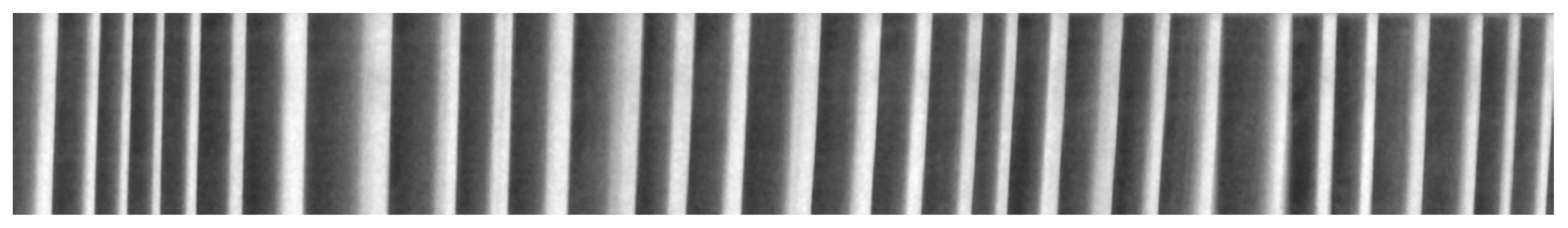 Forests 10 00728 g010 Forests 10 00728 g010