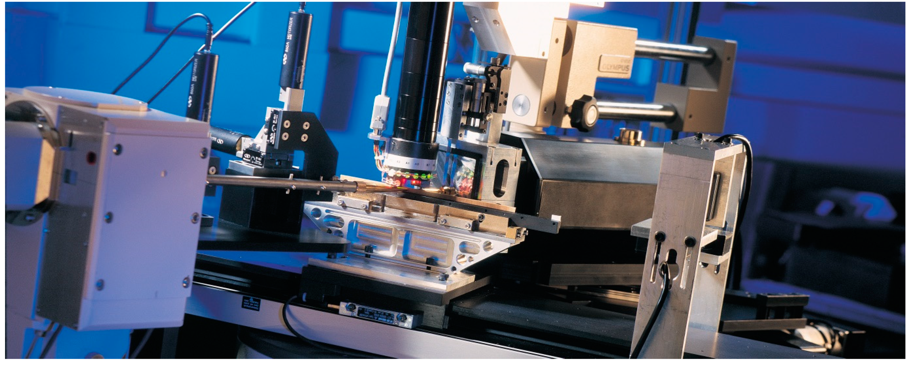 Forests 10 00728 g013 Forests 10 00728 g013