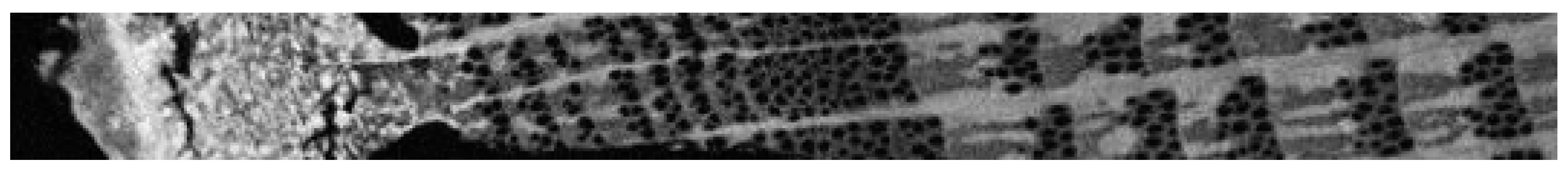 Forests 10 00728 g018 Forests 10 00728 g018