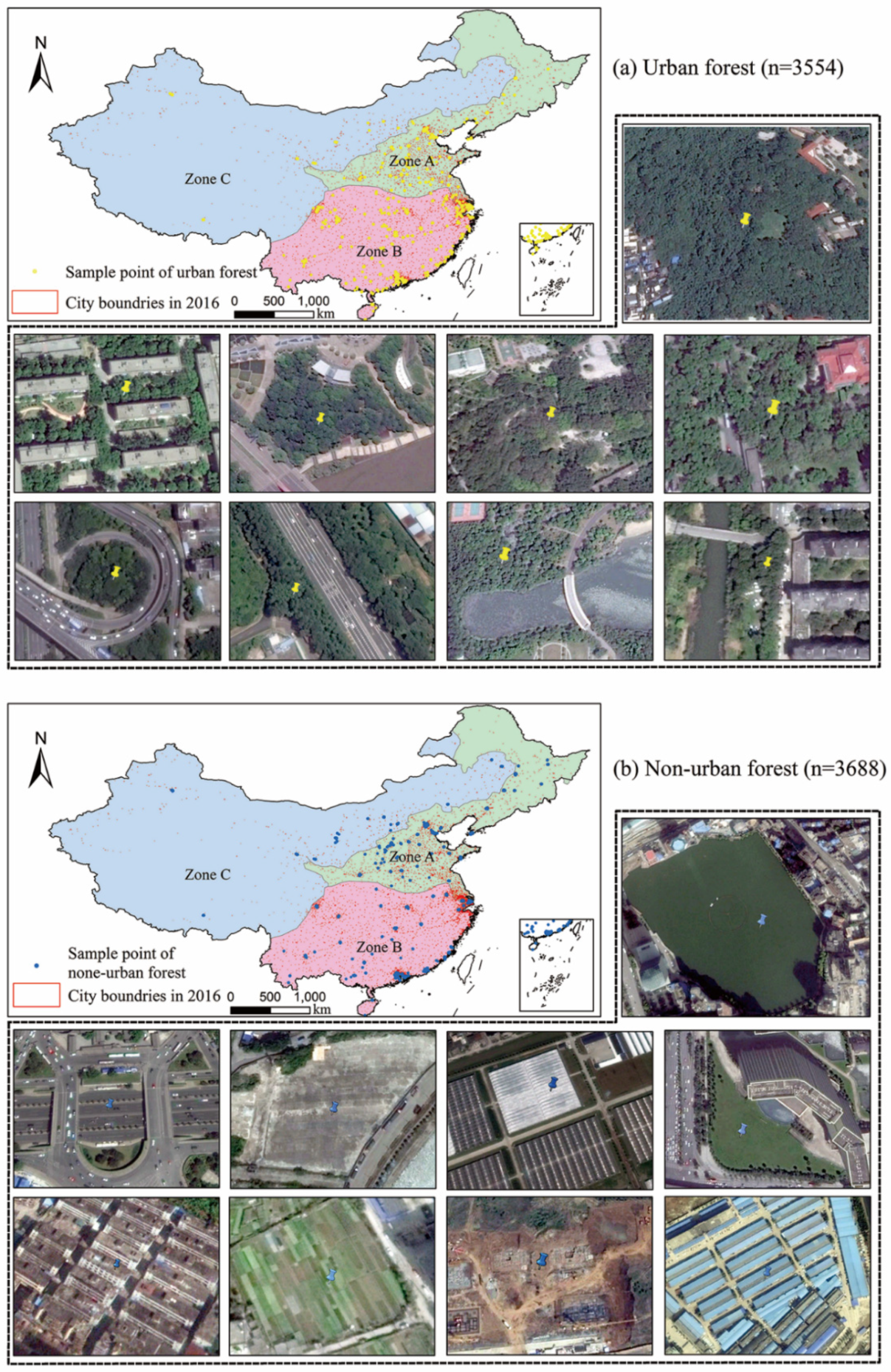 Forests 10 00729 g003 Forests 10 00729 g003