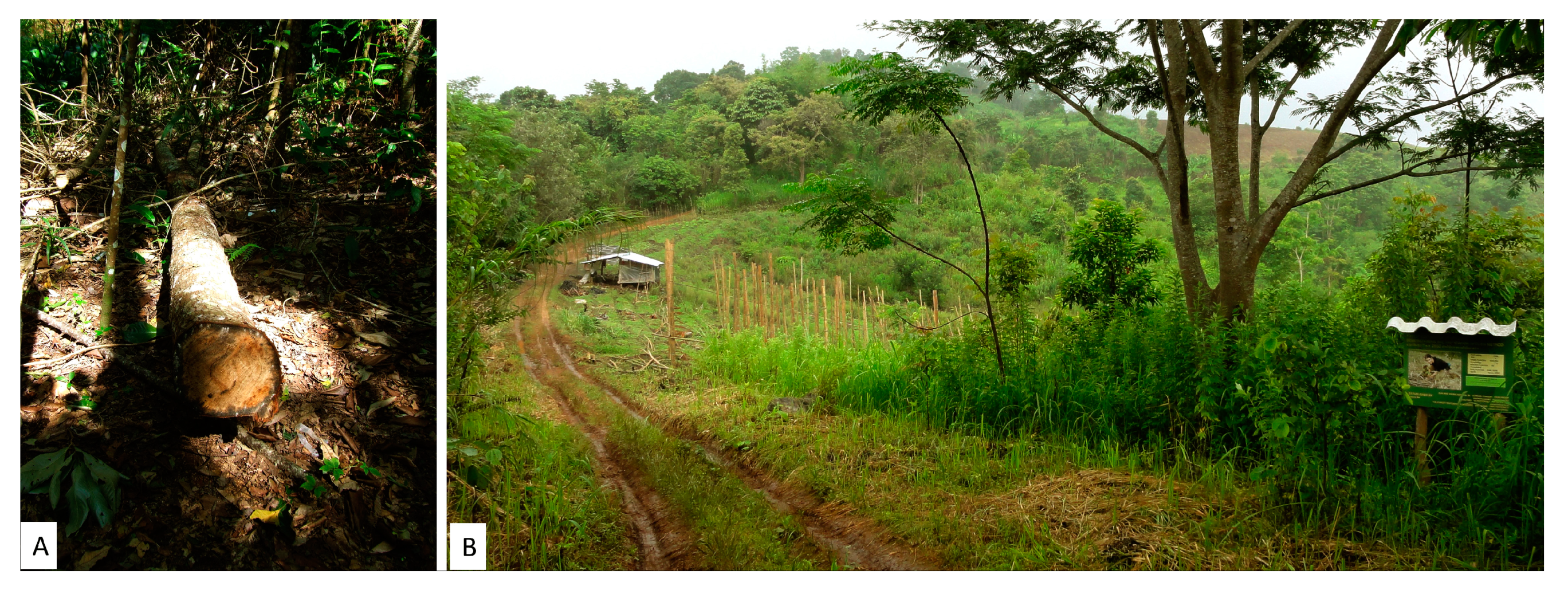 Forests 10 00732 g005