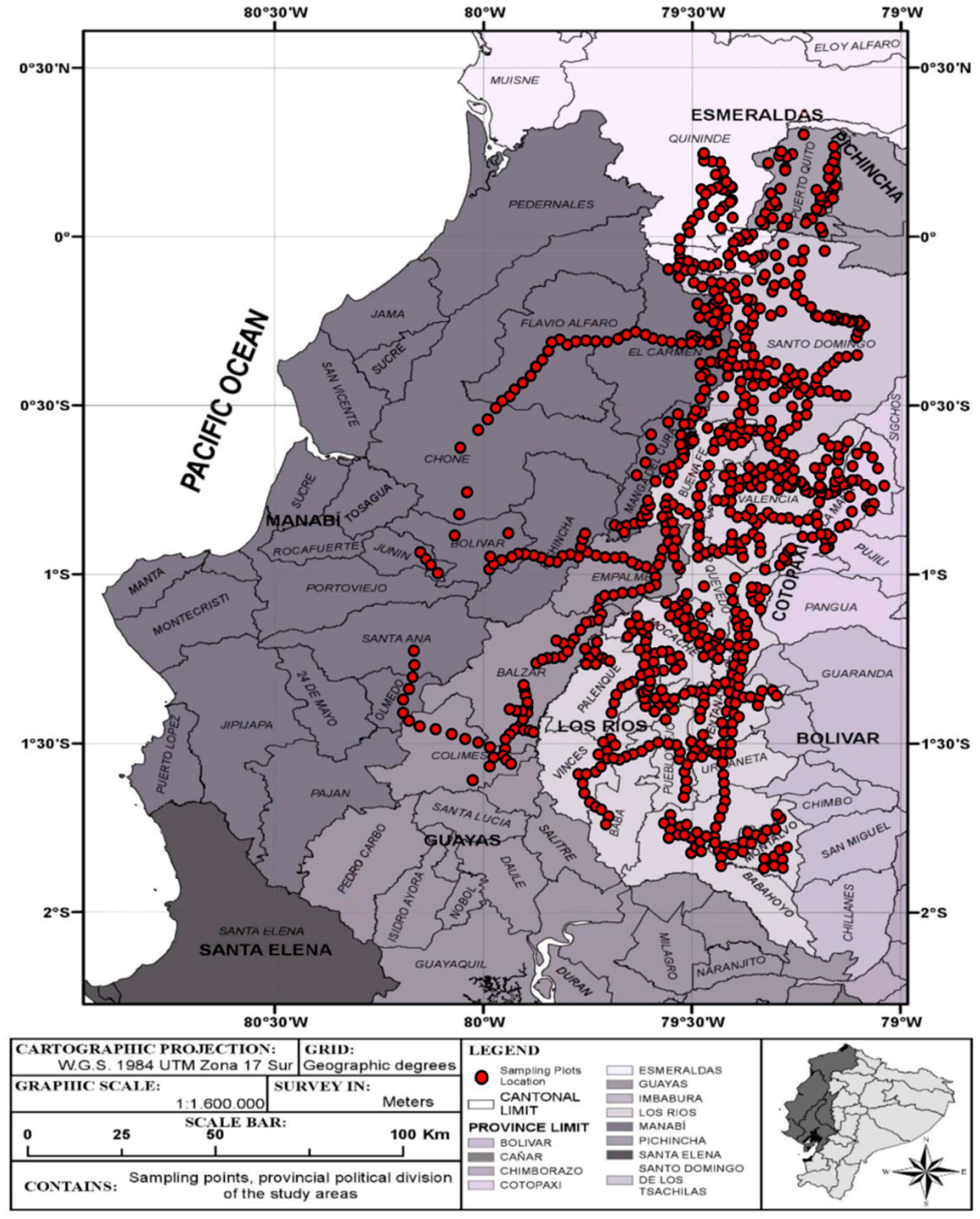Forests 10 00733 g001 Forests 10 00733 g001