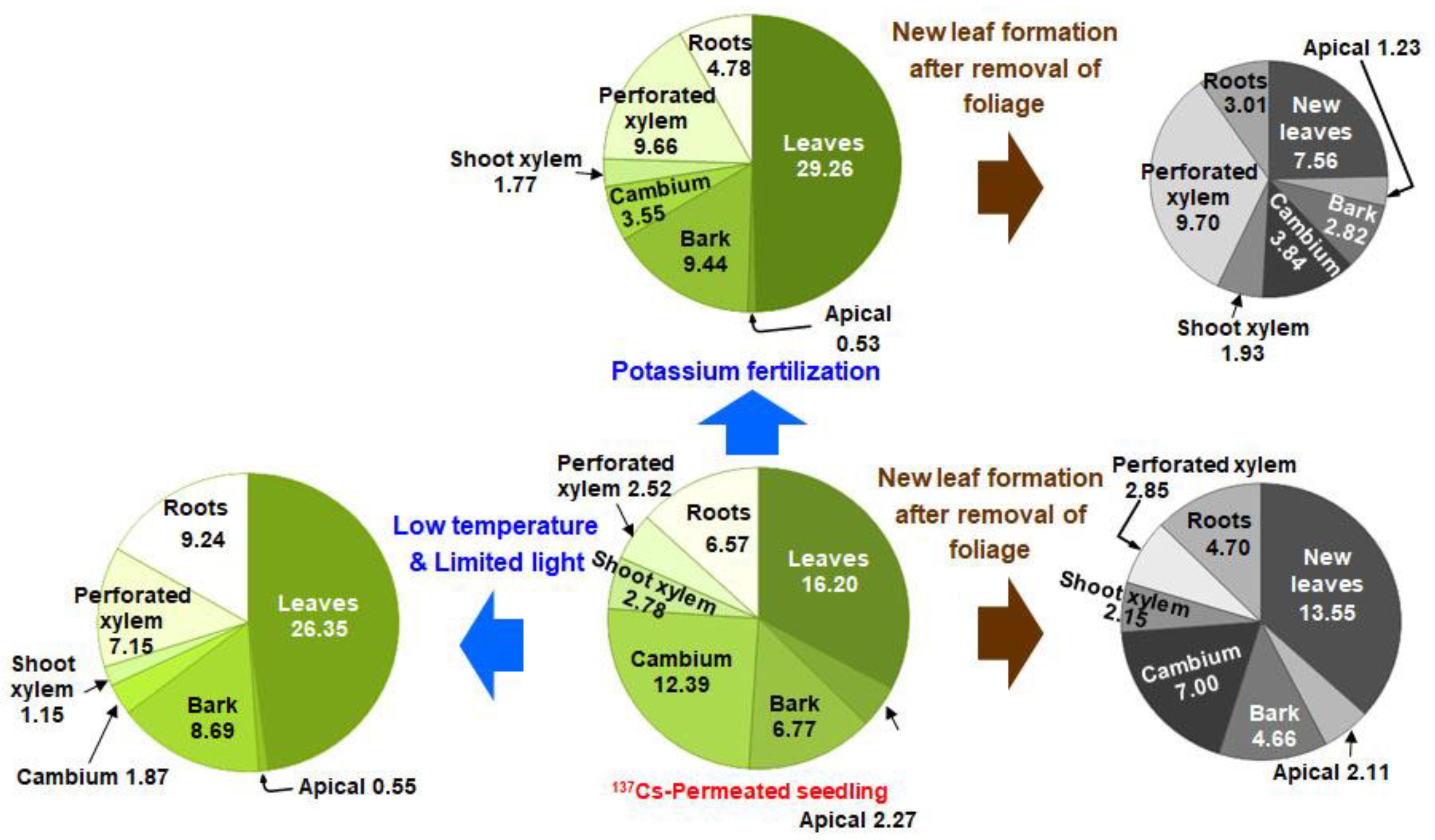 Forests 10 00736 g003 Forests 10 00736 g003