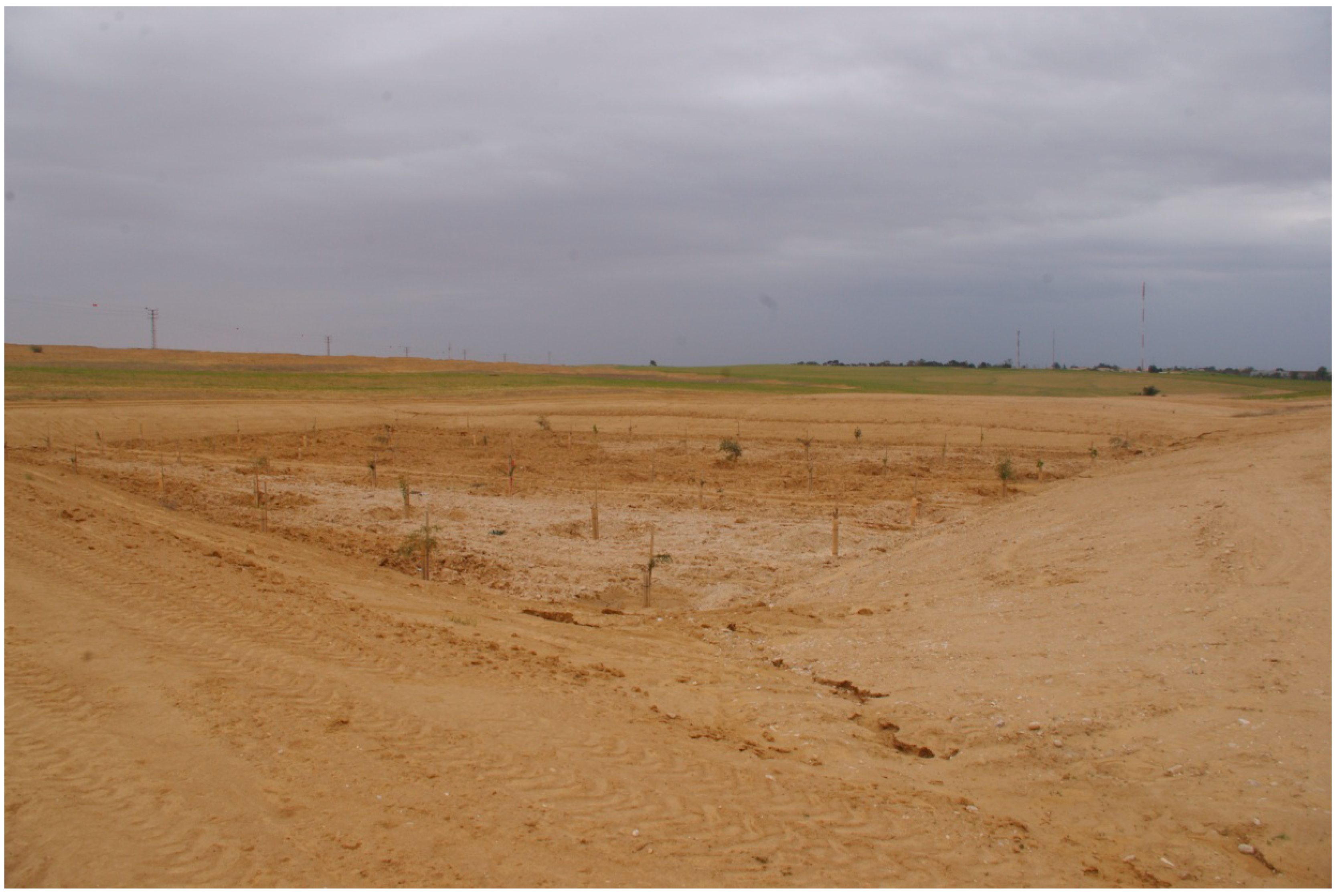 Forests 10 00737 g002 Forests 10 00737 g002