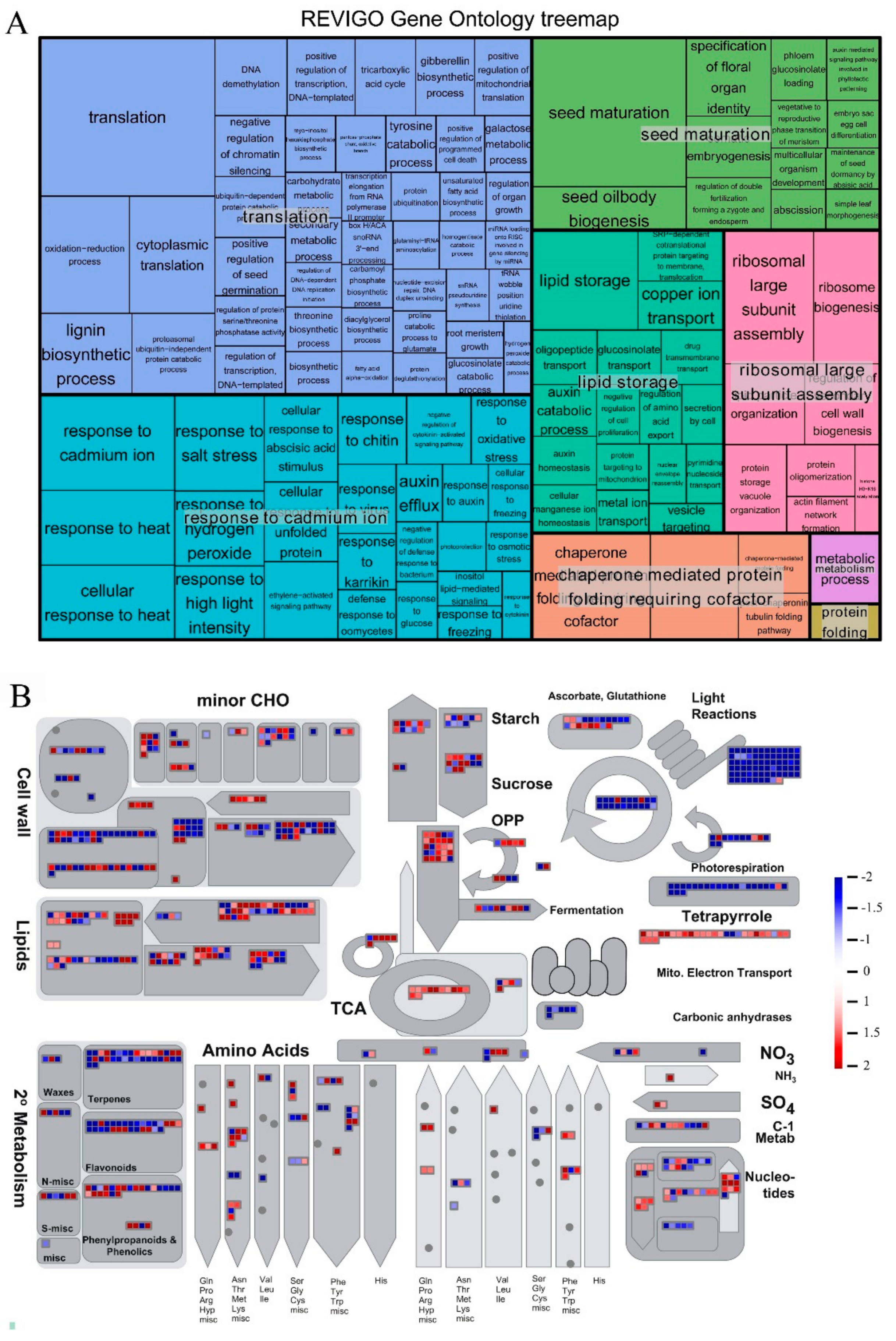 Forests 10 00738 g002 Forests 10 00738 g002