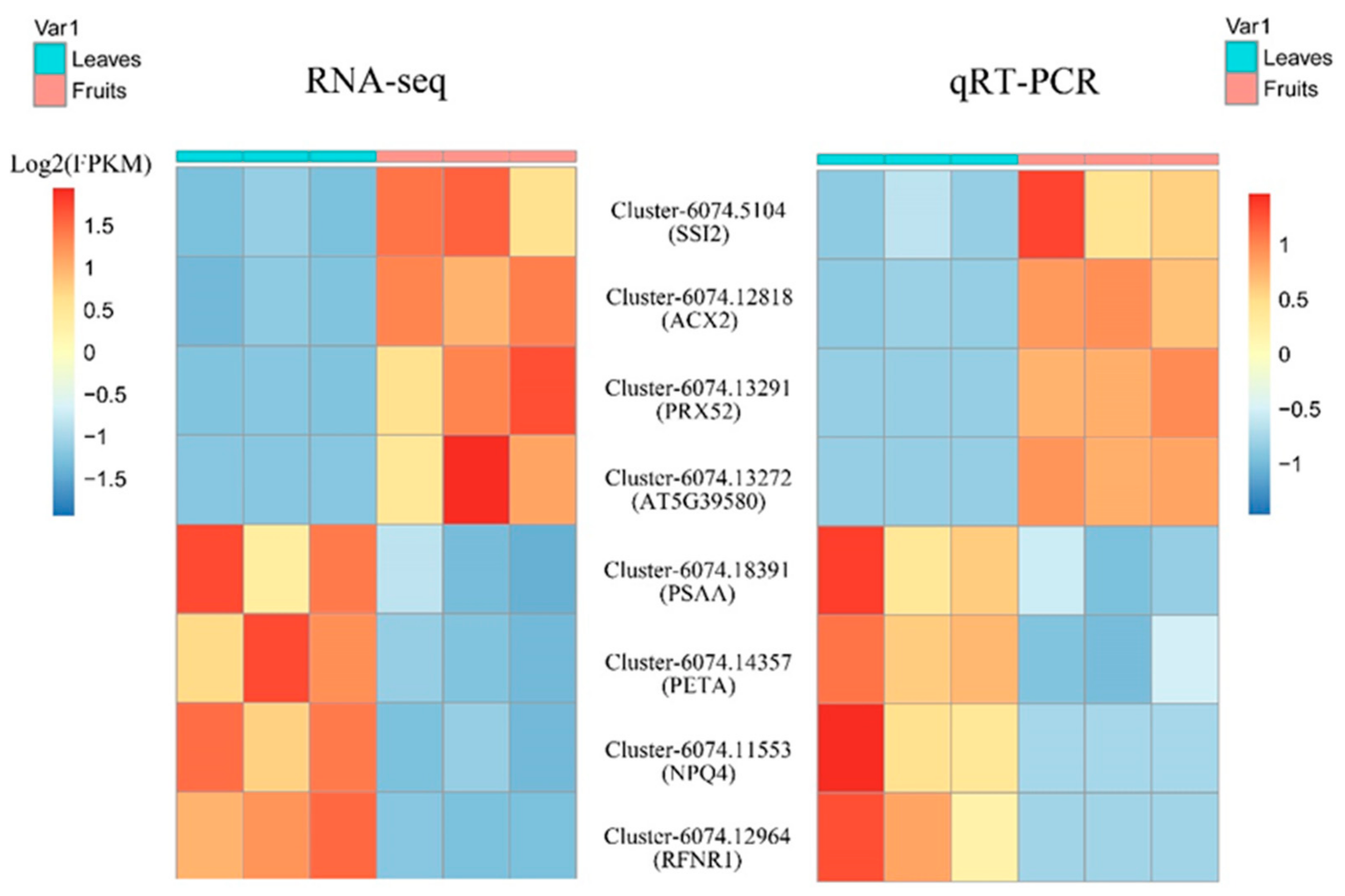 Forests 10 00738 g003 Forests 10 00738 g003