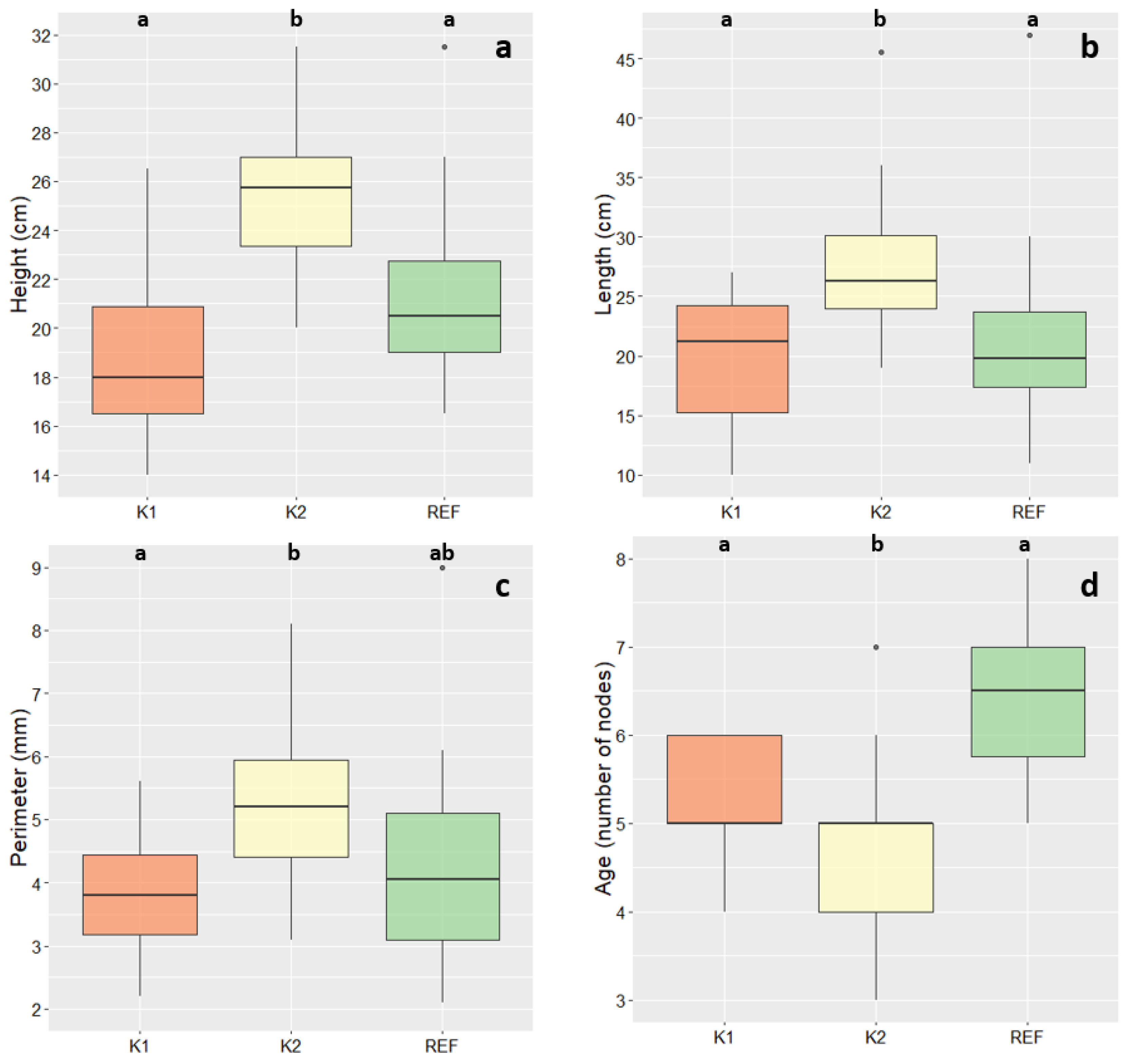 Forests Free Full Text Ectomycorrhizal Community On Norway Spruce Seedlings Following Bark Beetle Infestation